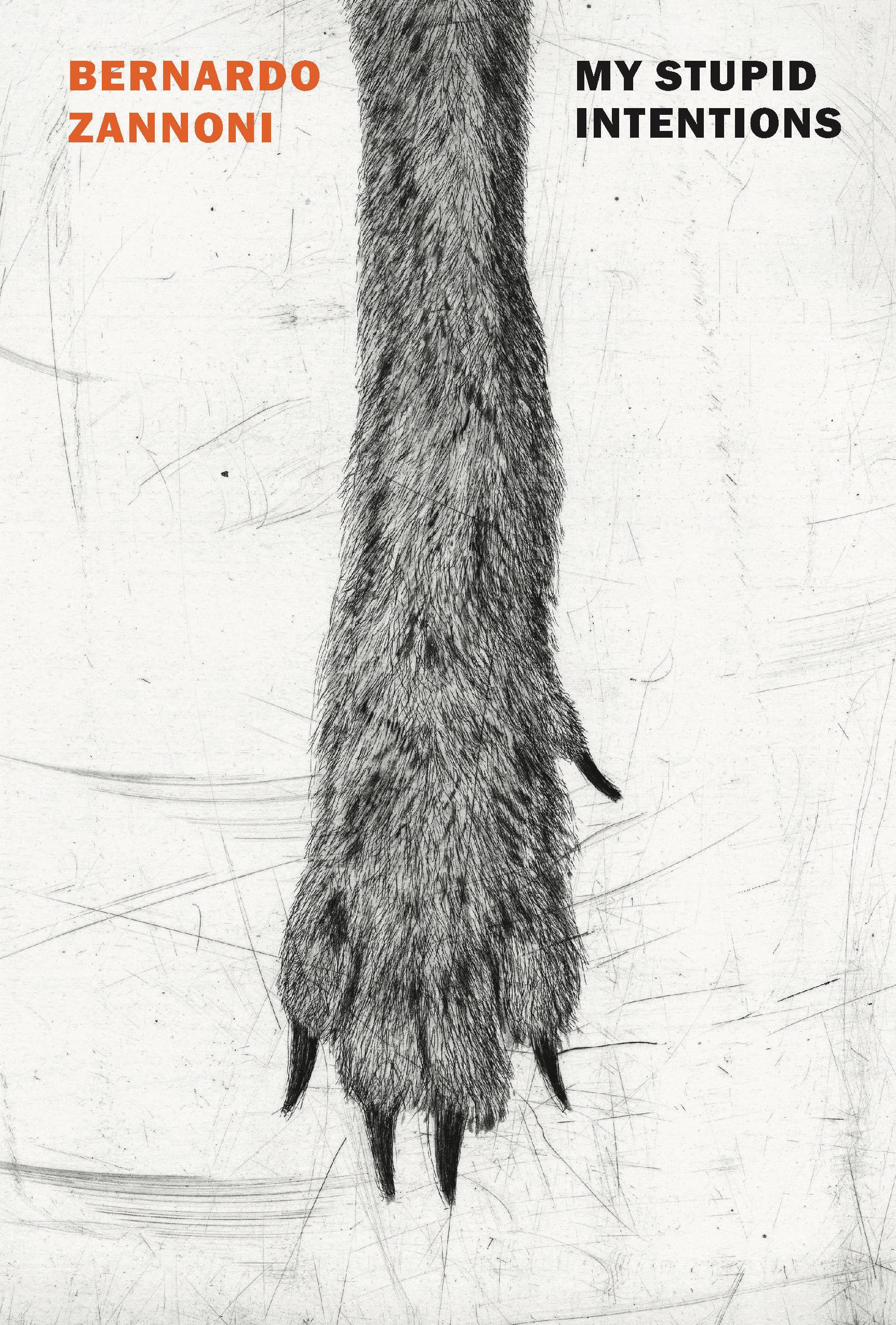 Vorderes Coverbild My Stupid Intentions