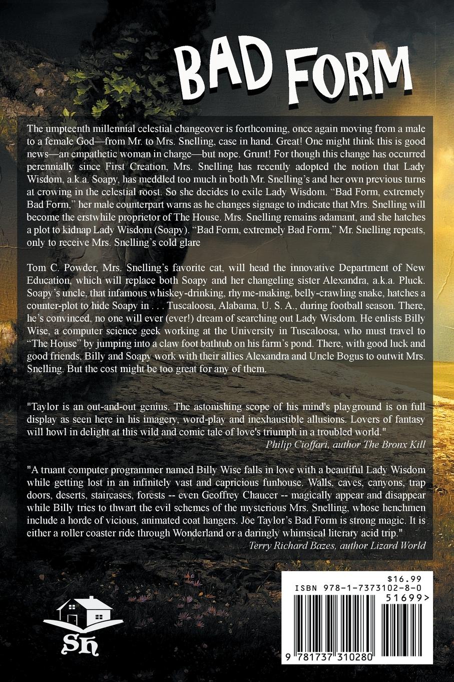 Rückseitencover Bad Form