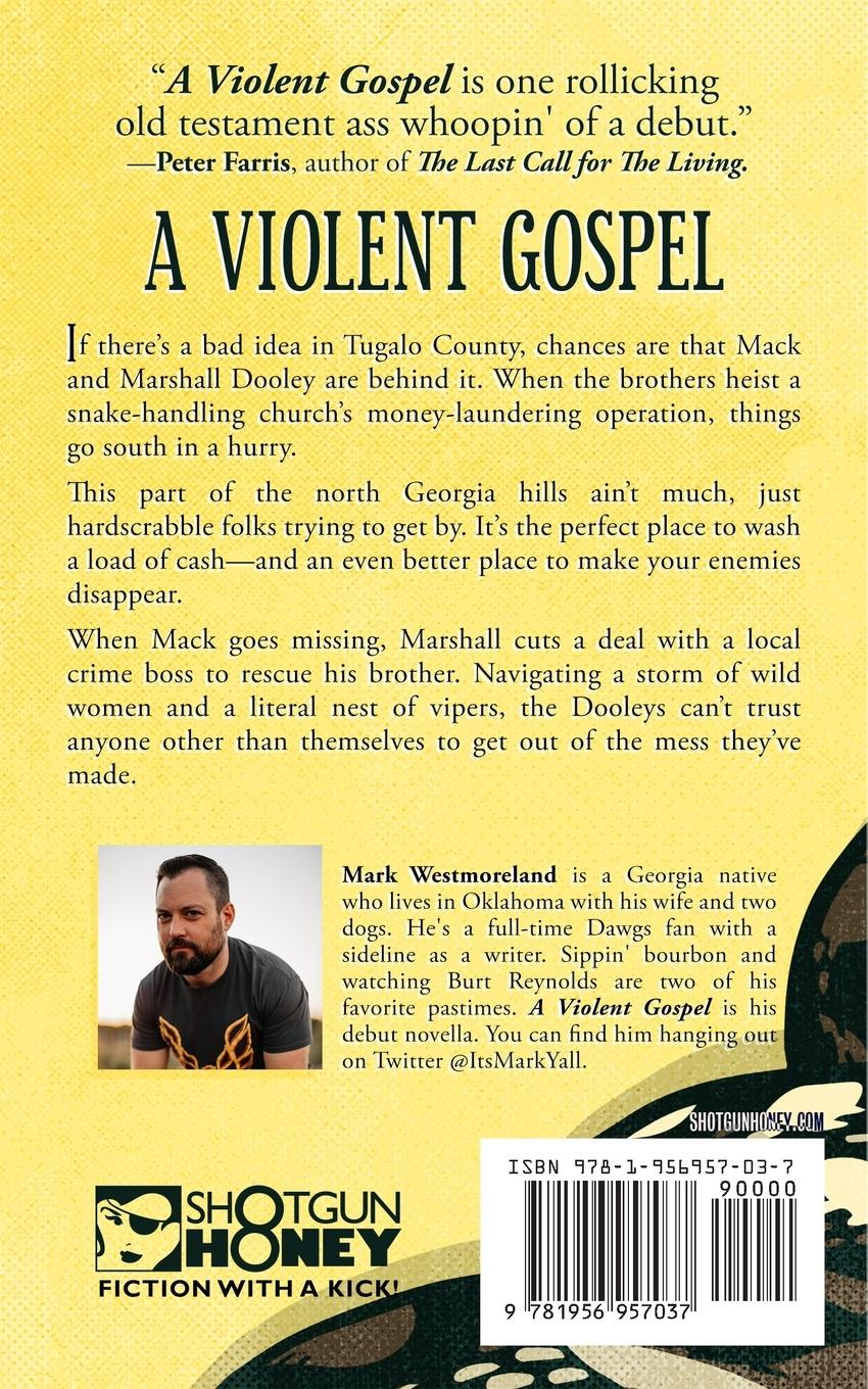 Rückseitencover A Violent Gospel