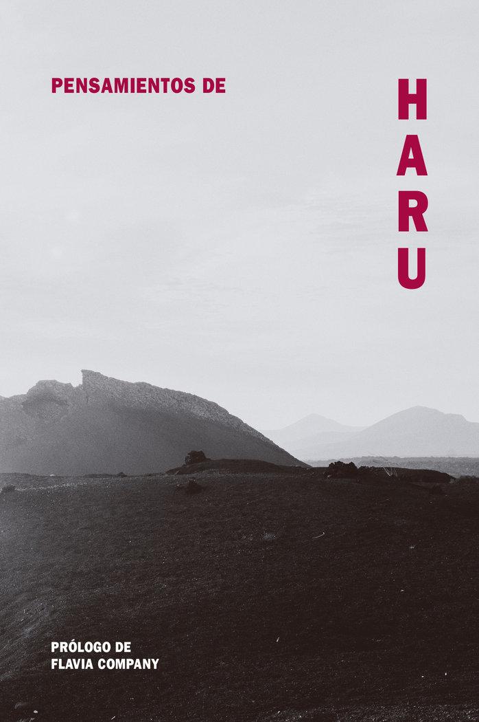 Vorderes Coverbild Pensamientos de Haru
