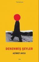 Vorderes Coverbild Denenmis Seyler