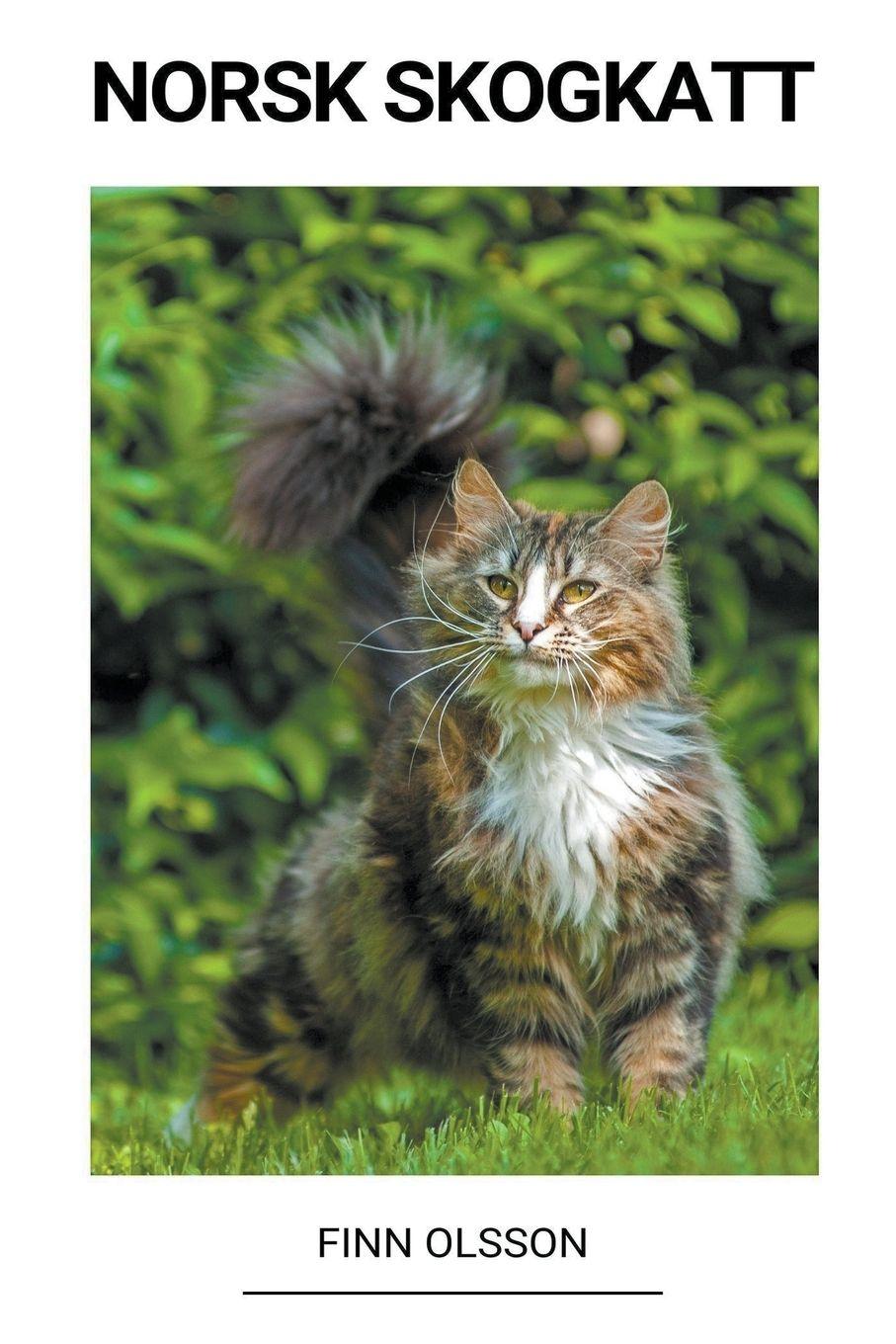 Vorderes Coverbild Norsk Skogkatt