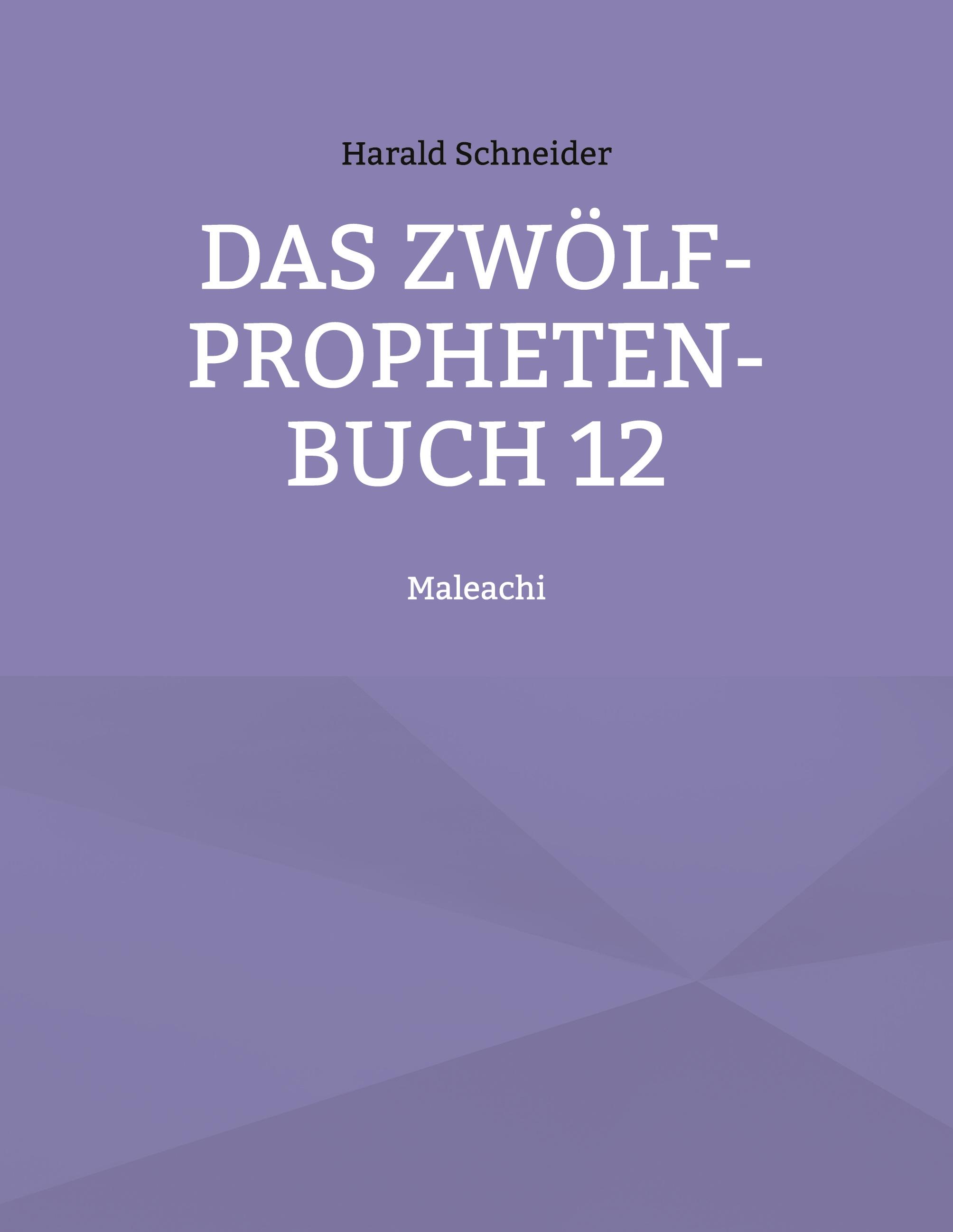 Vorderes Coverbild Das Zwölf-Propheten-Buch 12