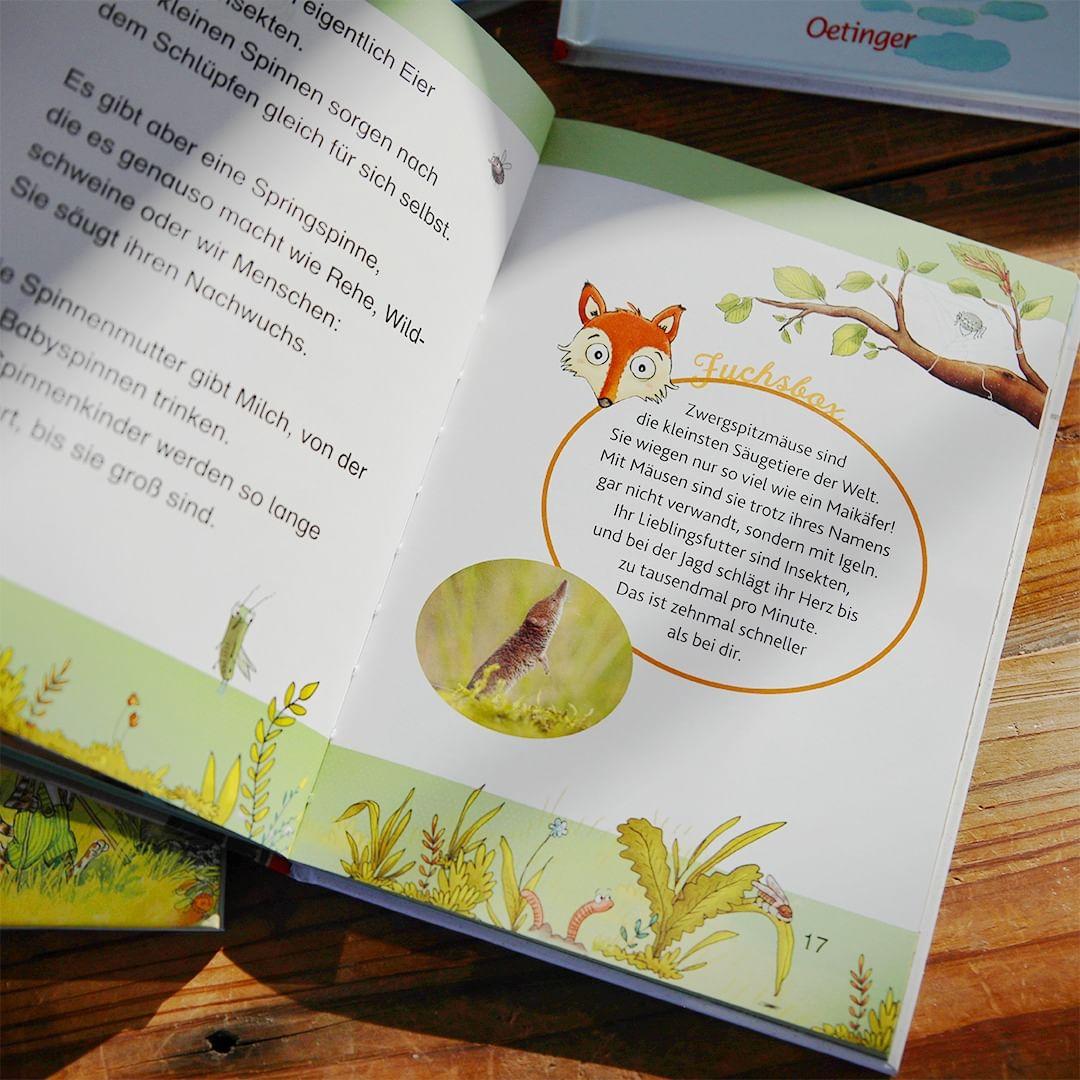 Beispielinhalt (Bild) Was fressen die Tiere im Wald?