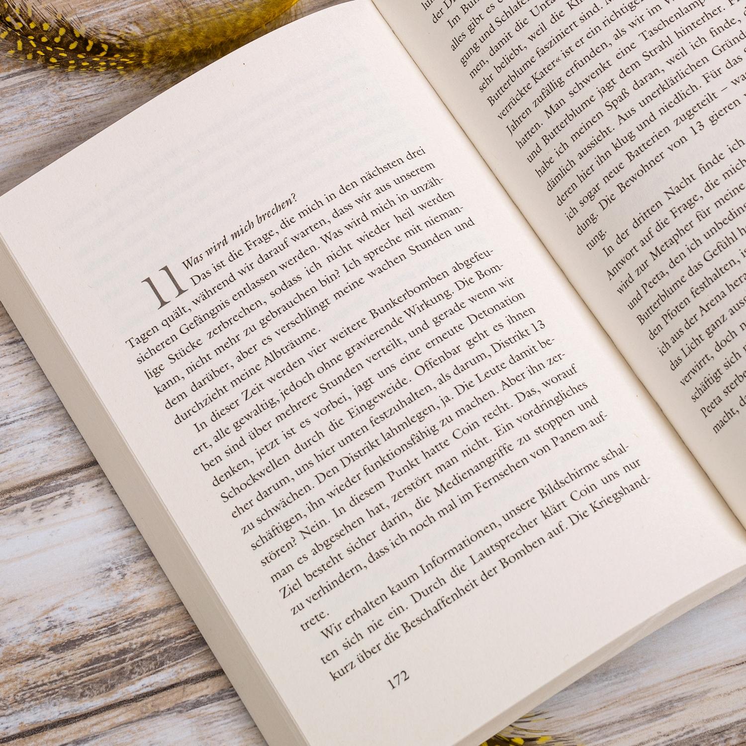 Beispielinhalt (Bild) Die Tribute von Panem 3. Flammender Zorn