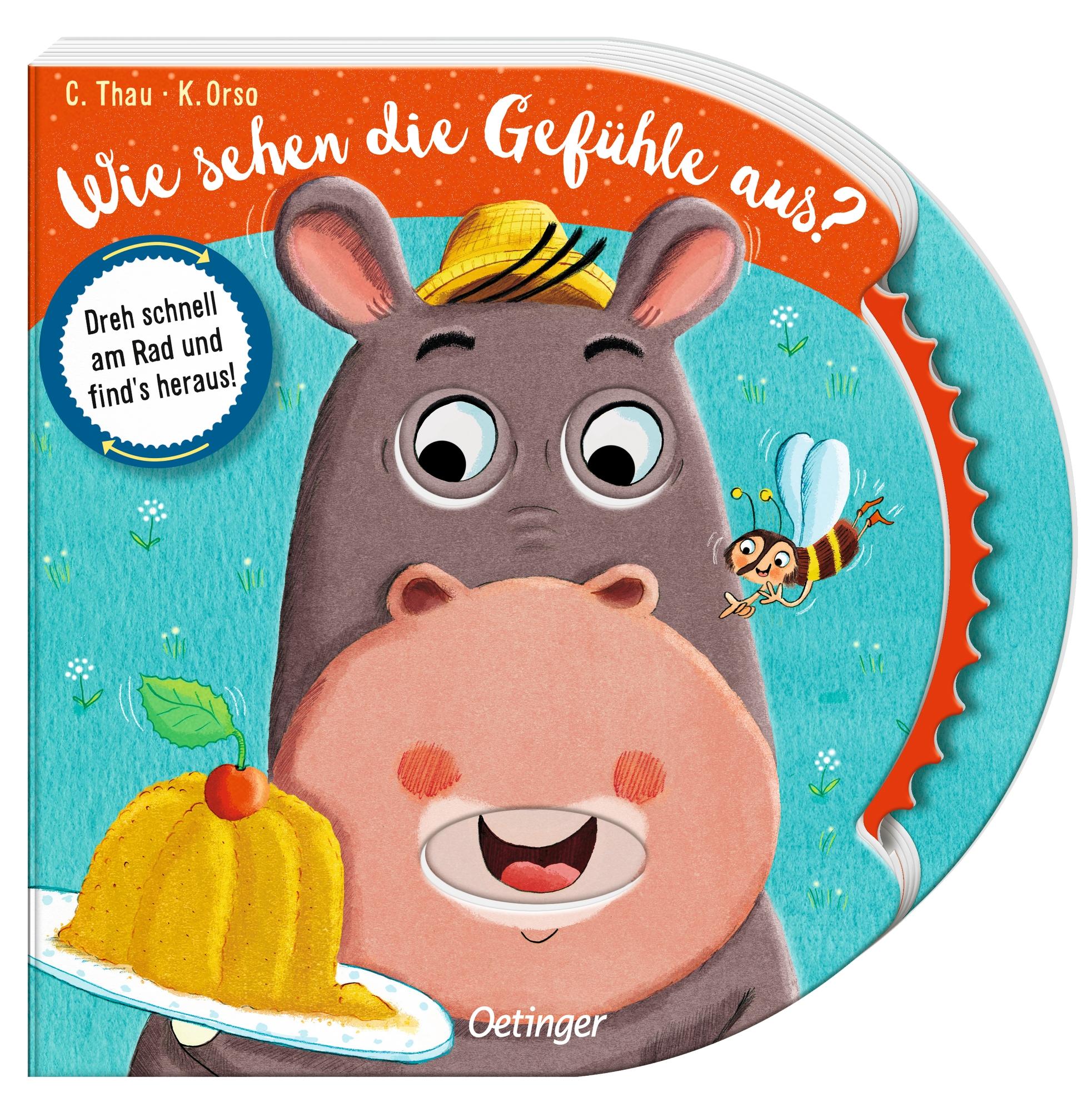 Vorderes Coverbild Wie sehen die Gefühle aus?