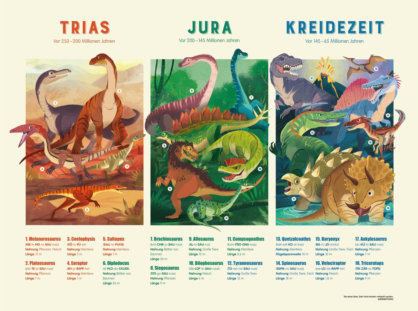 Beispielinhalt (Bild) Entdecker-Box: Dinosaurier