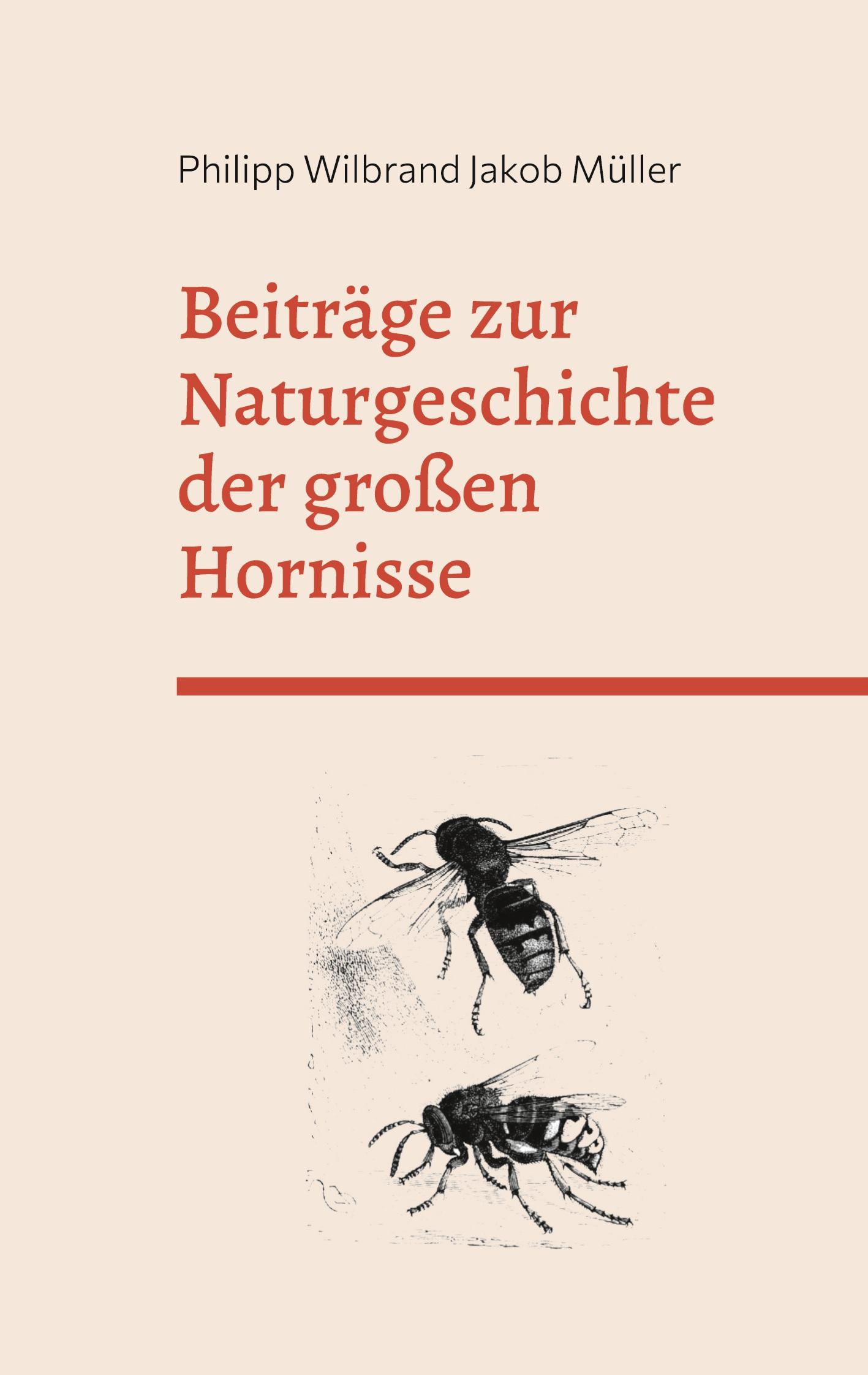 Vorderes Coverbild Beiträge zur Naturgeschichte der großen Hornisse
