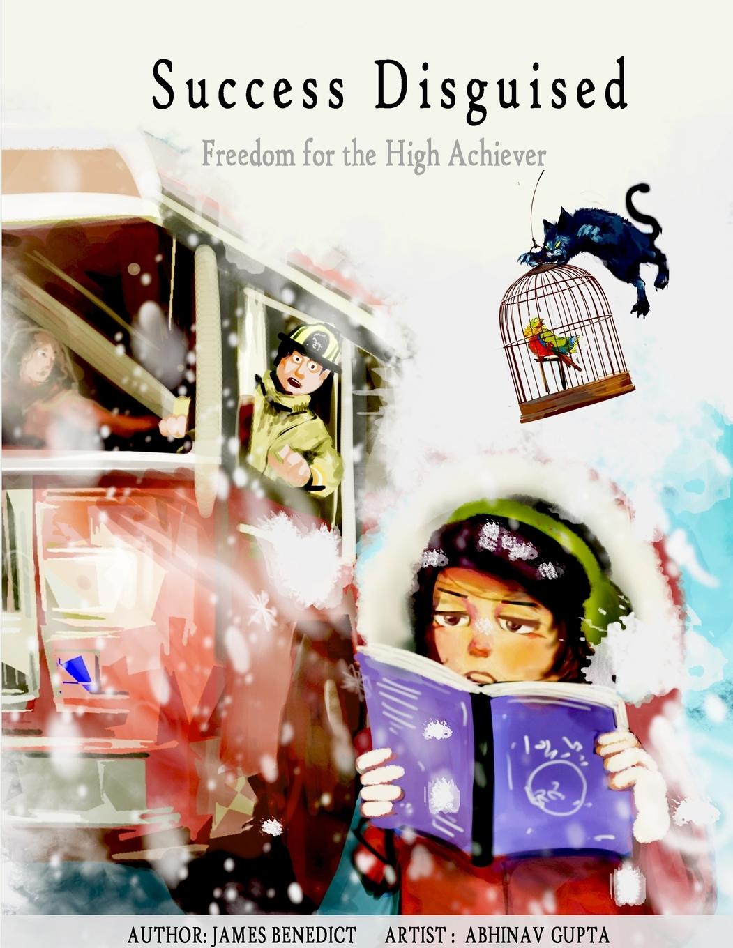 Vorderes Coverbild Success Disguised