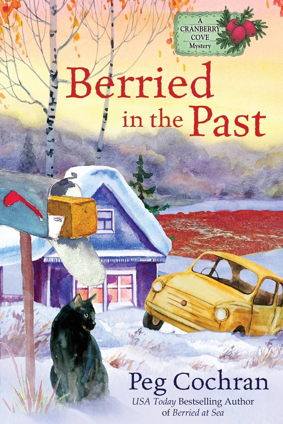 Vorderes Coverbild Berried in the Past