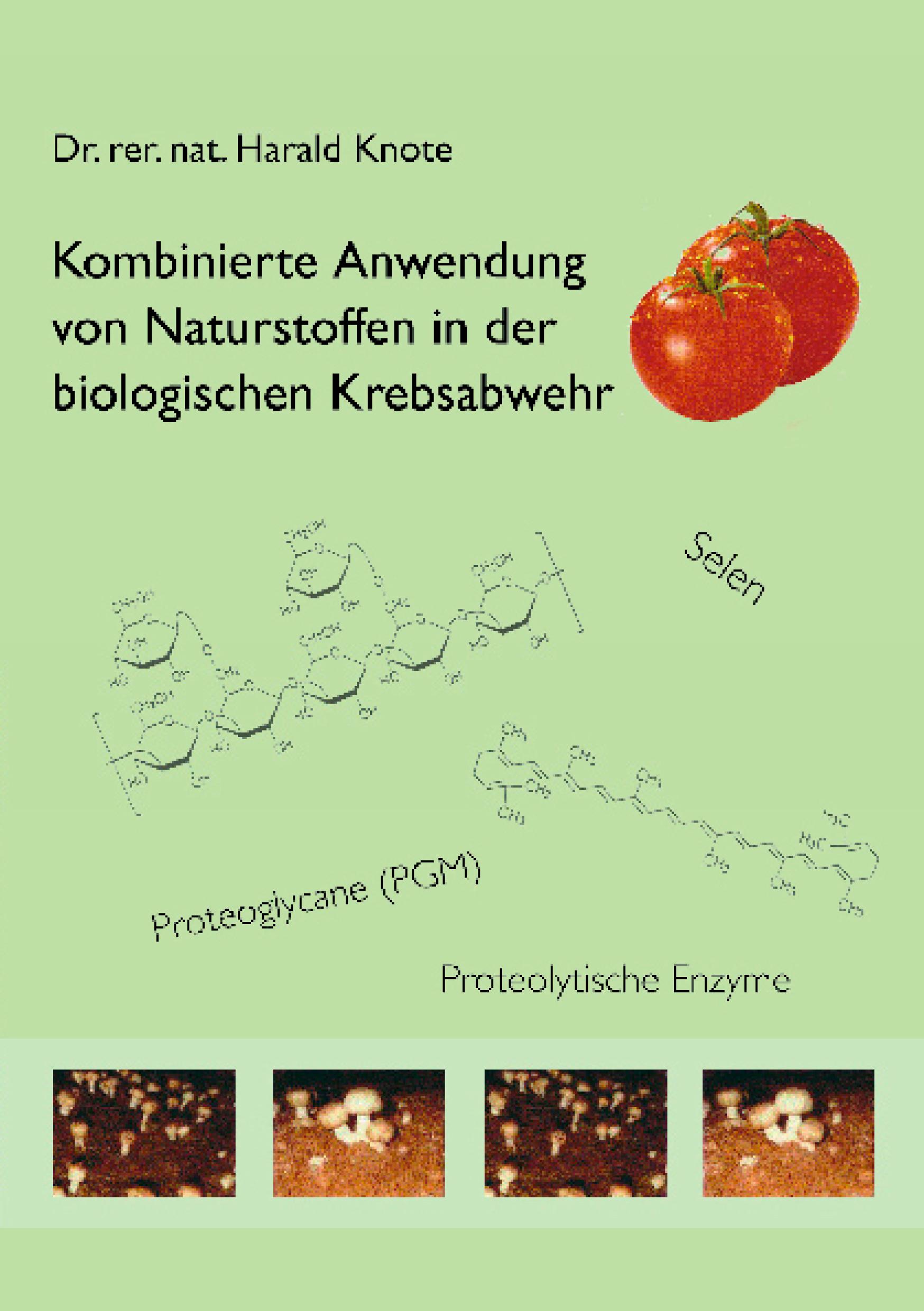 Vorderes Coverbild Kombinierte Anwendung von Naturstoffen in der biologischen Krebsabwehr