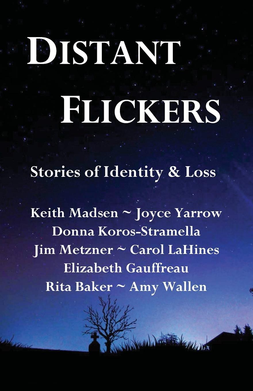 Vorderes Coverbild Distant Flickers