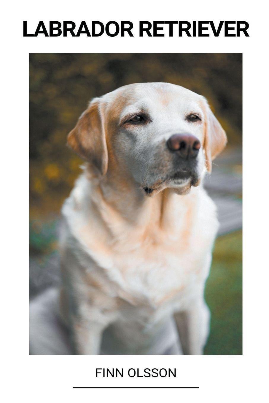 Vorderes Coverbild Labrador Retriever