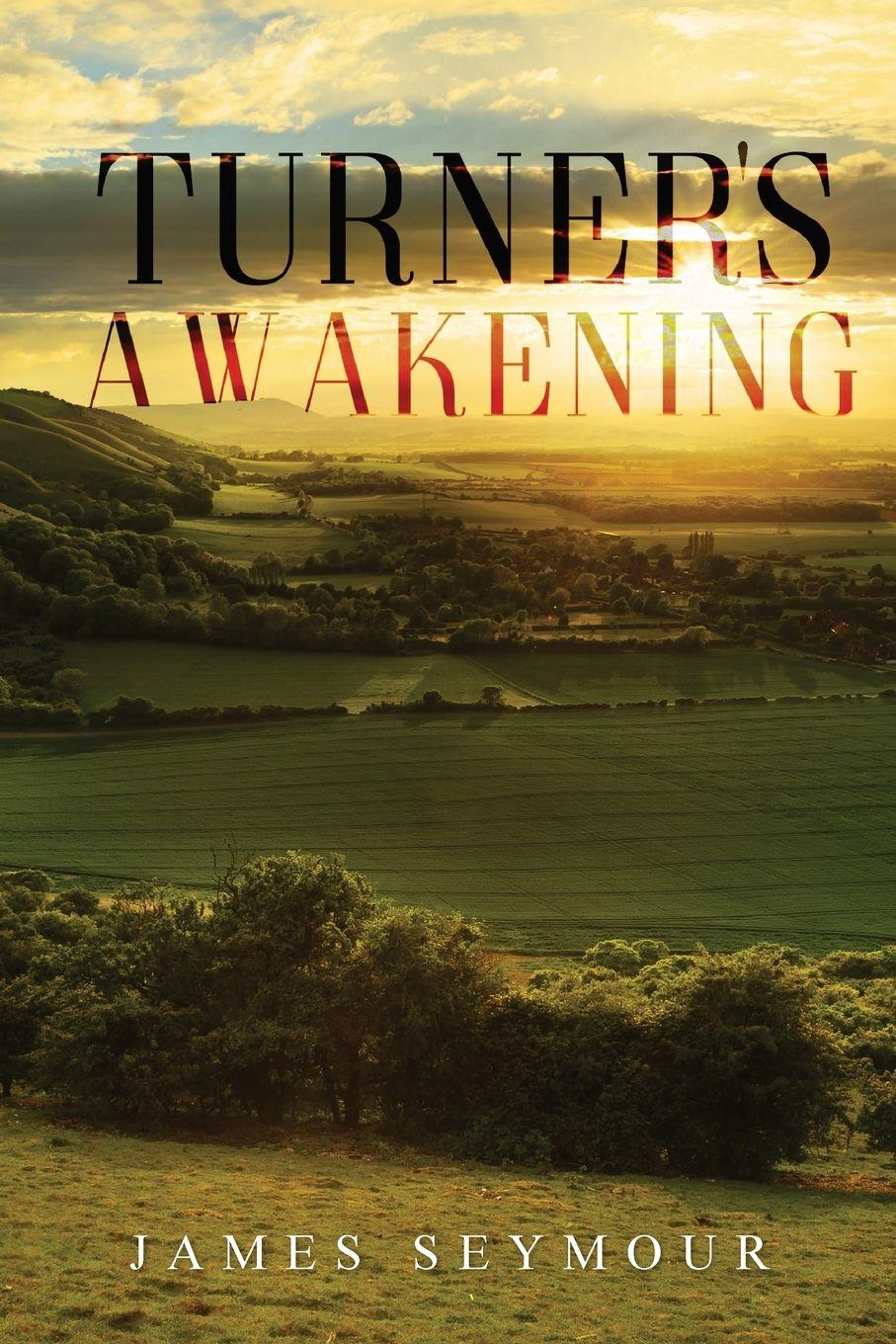 Vorderes Coverbild Turner's Awakening