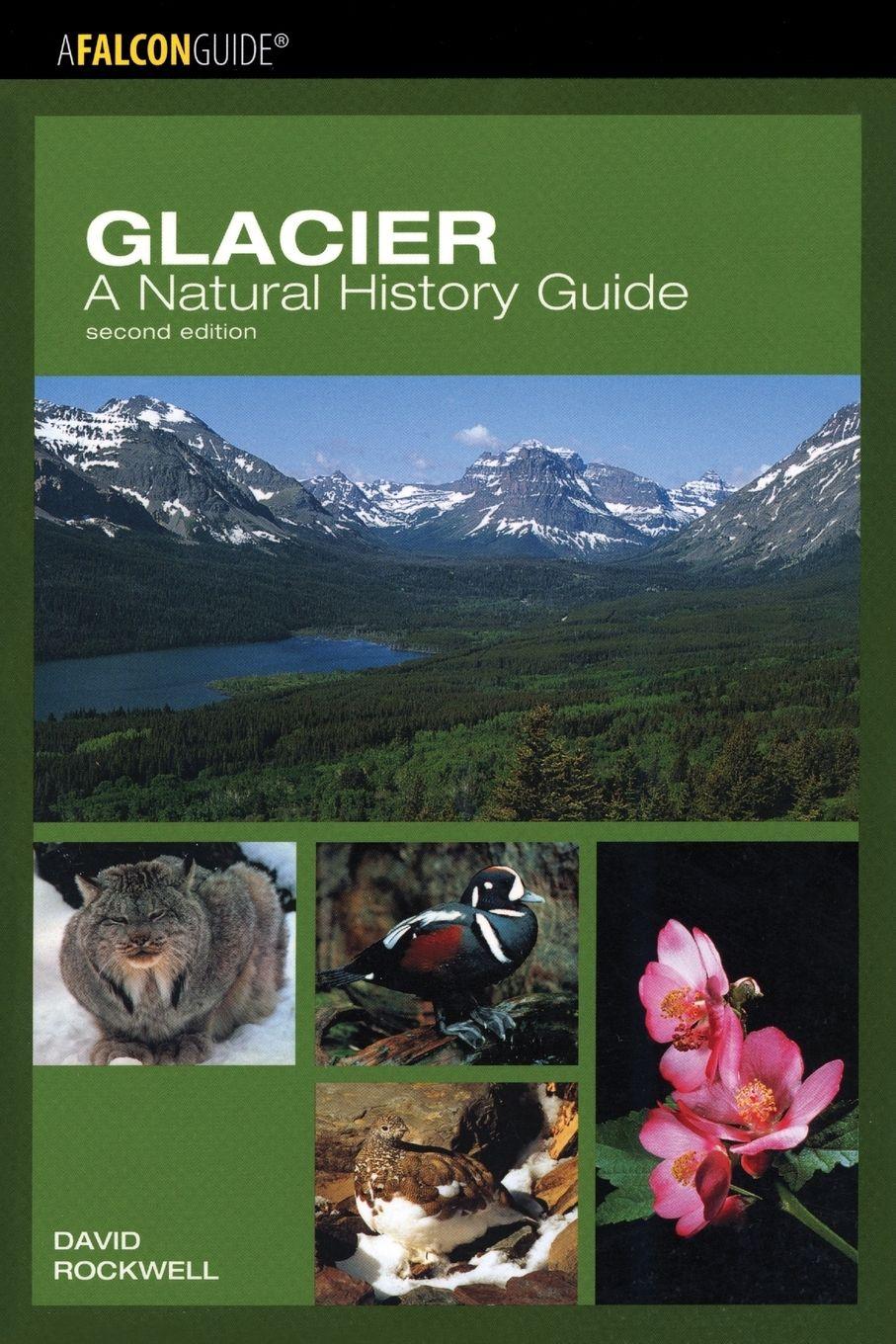 Vorderes Coverbild Glacier