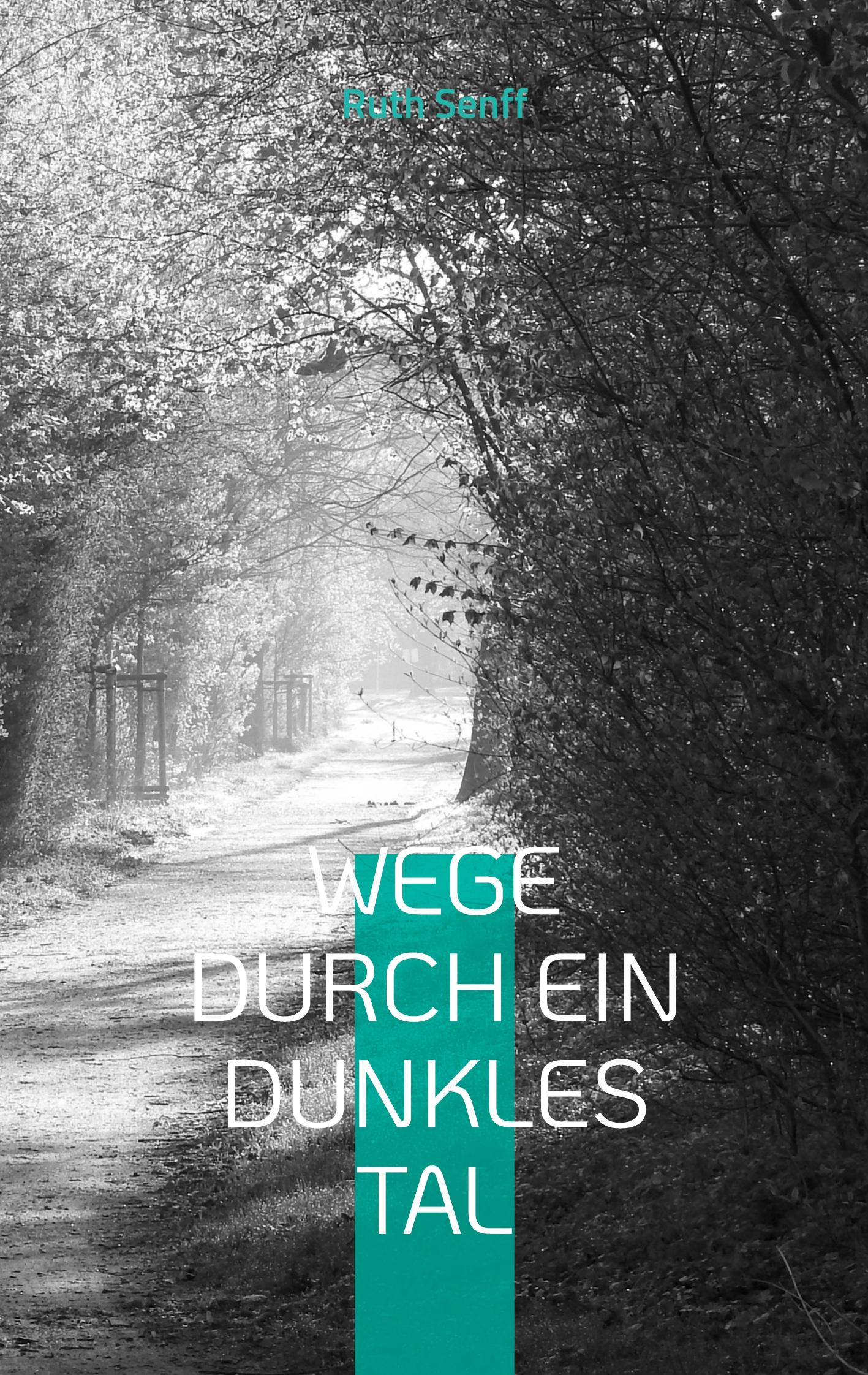 Vorderes Coverbild Wege durch ein dunkles Tal