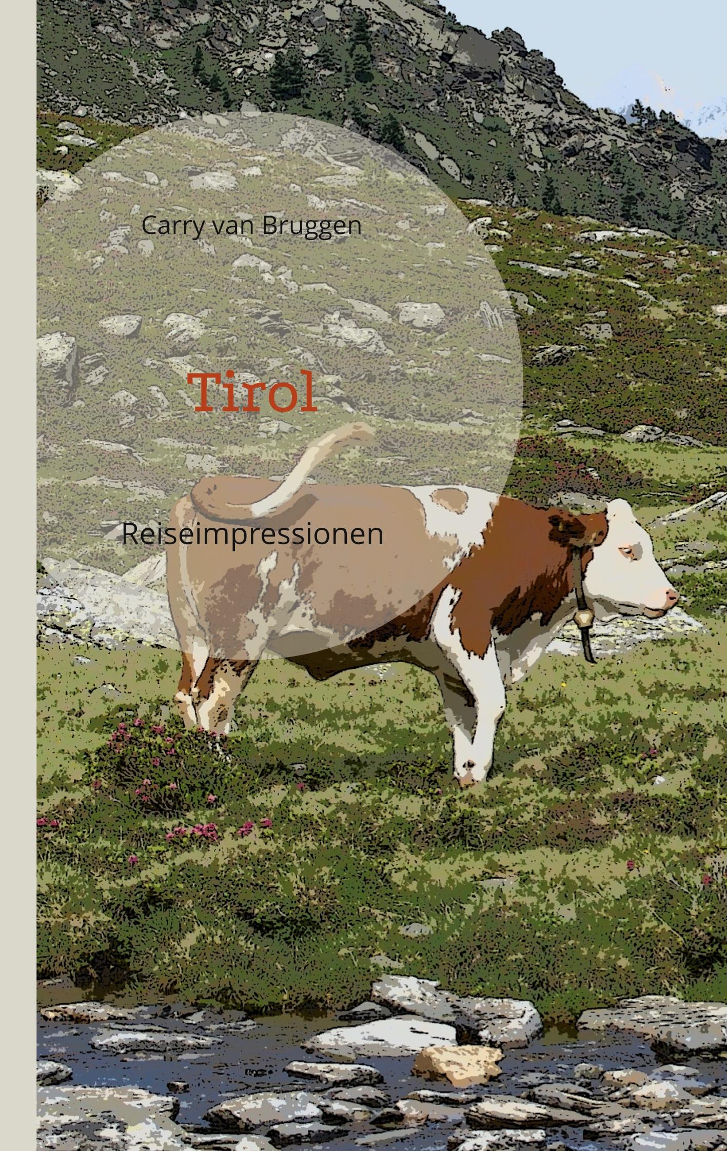 Vorderes Coverbild Tirol