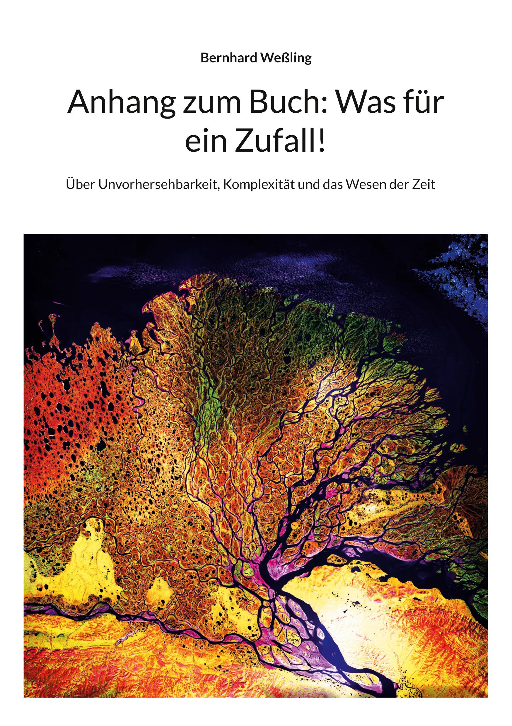Vorderes Coverbild Anhang zum Buch: Was für ein Zufall!