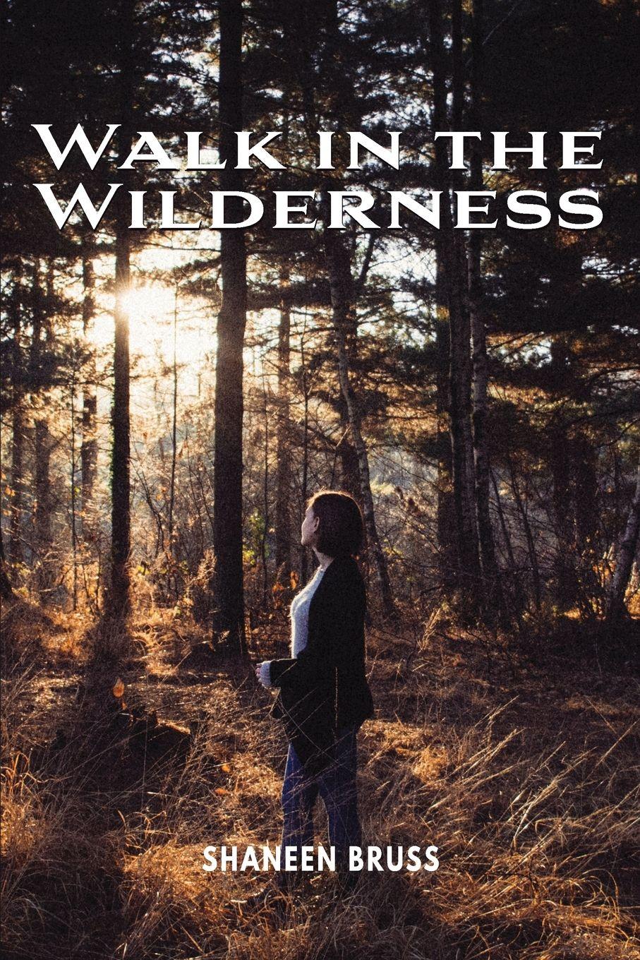Vorderes Coverbild Walk in the Wilderness