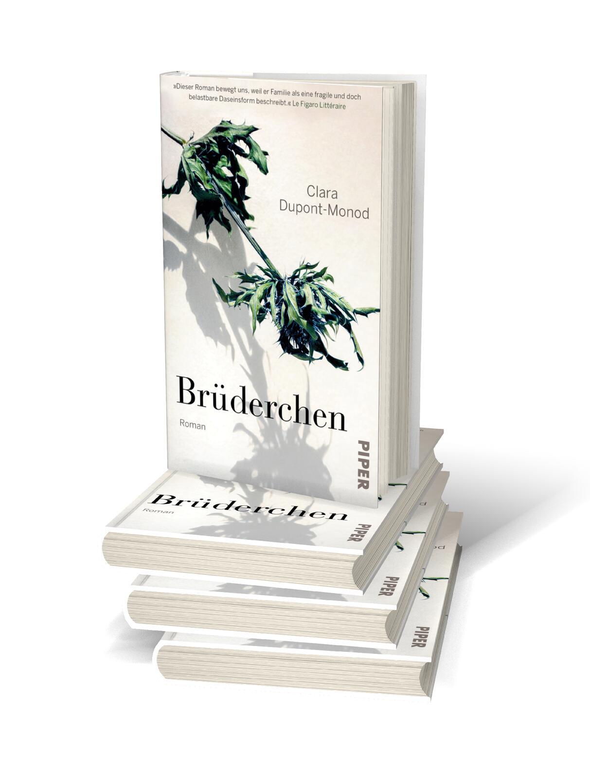 Beispielinhalt (Bild) Brüderchen