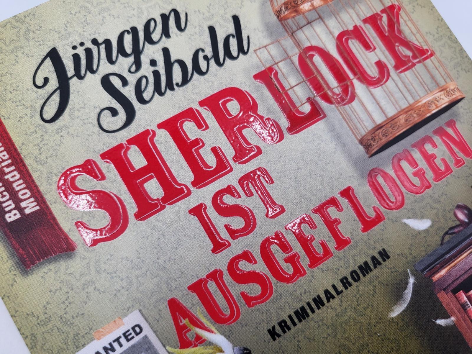 Beispielinhalt (Bild) Sherlock ist ausgeflogen