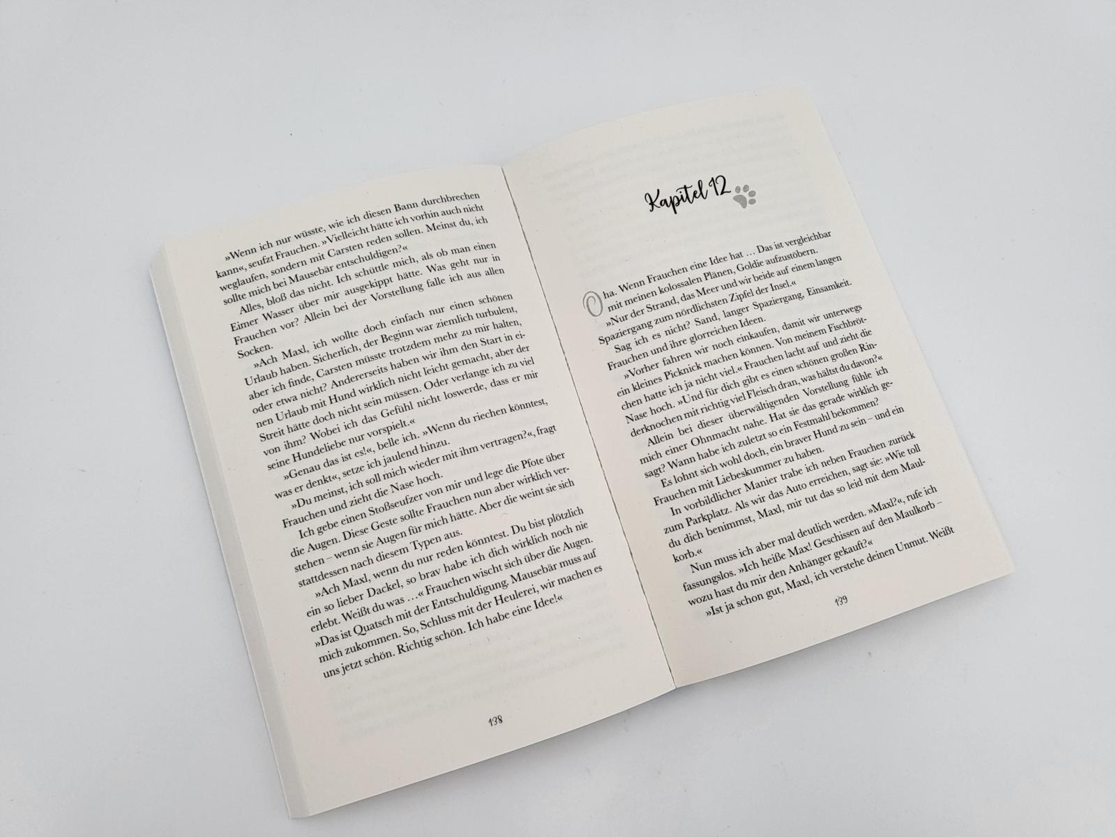 Beispielinhalt (Bild) Pfotenglück - Dackel Max sucht seine große Liebe