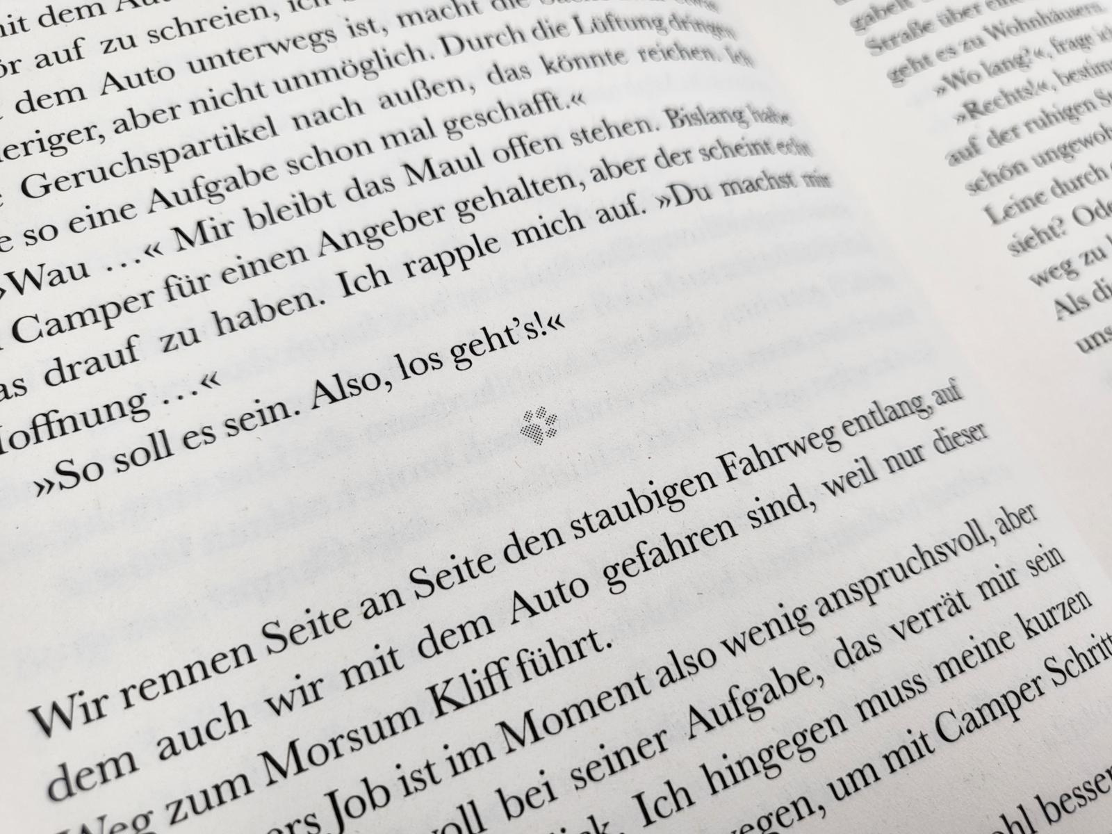 Beispielinhalt (Bild) Pfotenglück - Dackel Max sucht seine große Liebe