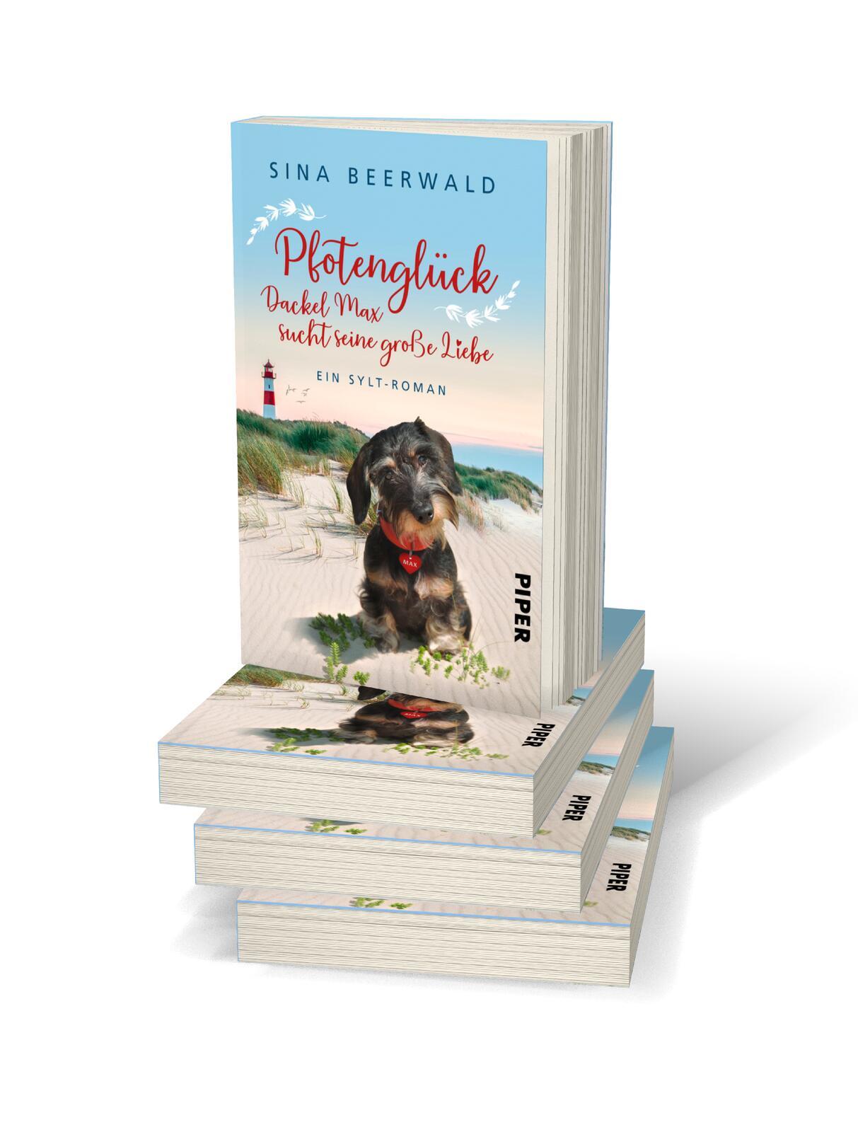 Beispielinhalt (Bild) Pfotenglück - Dackel Max sucht seine große Liebe