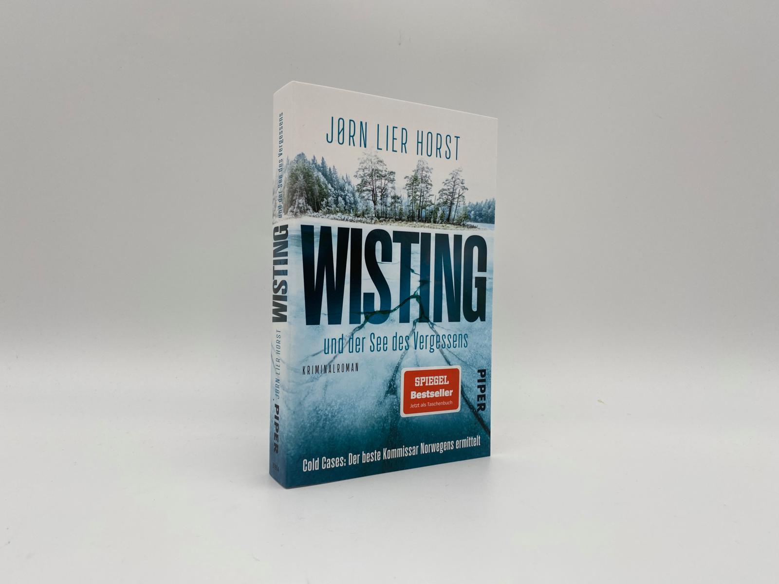 Beispielinhalt (Bild) Wisting  und der See des Vergessens