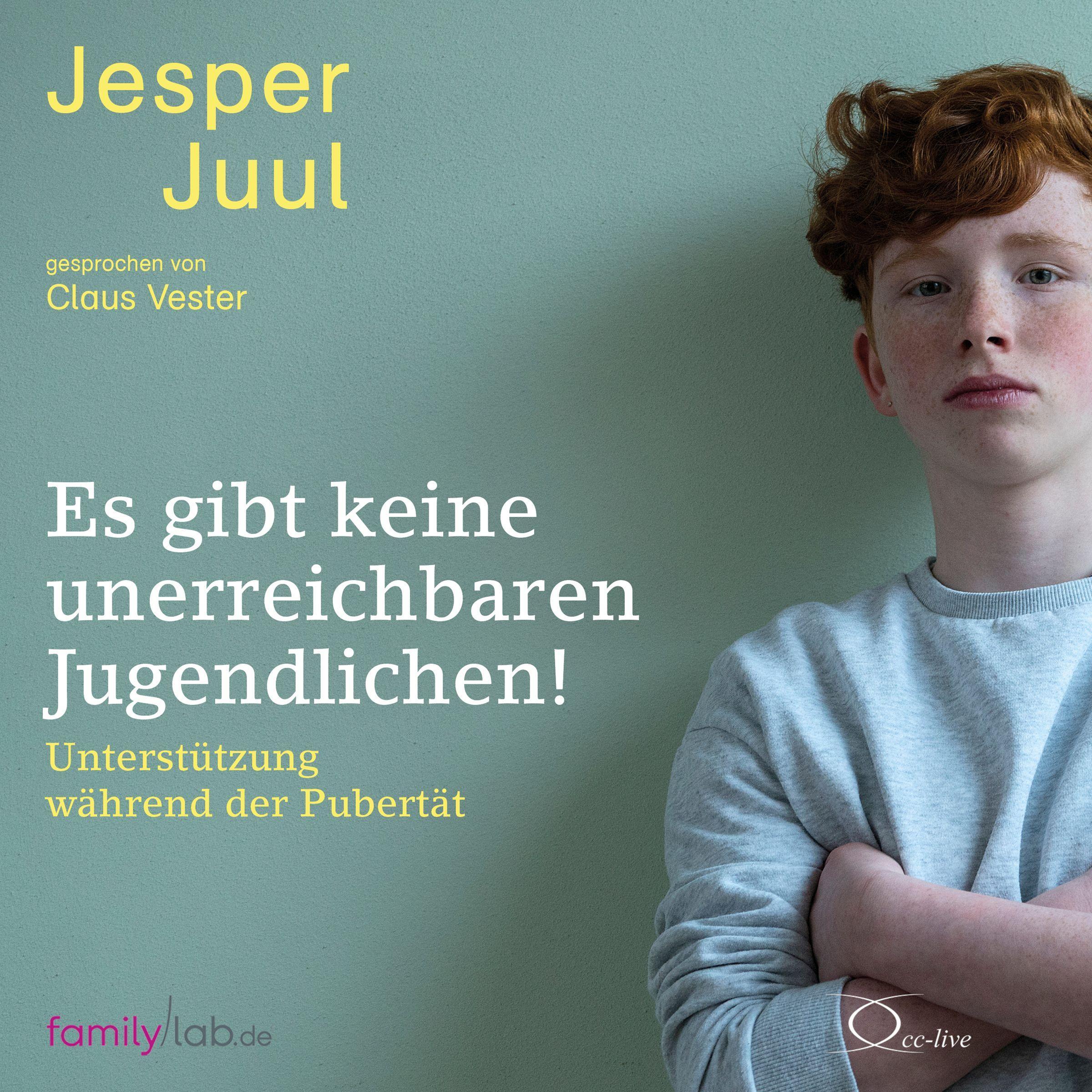 Vorderes Coverbild Es gibt keine unerreichbaren Jugendlichen!