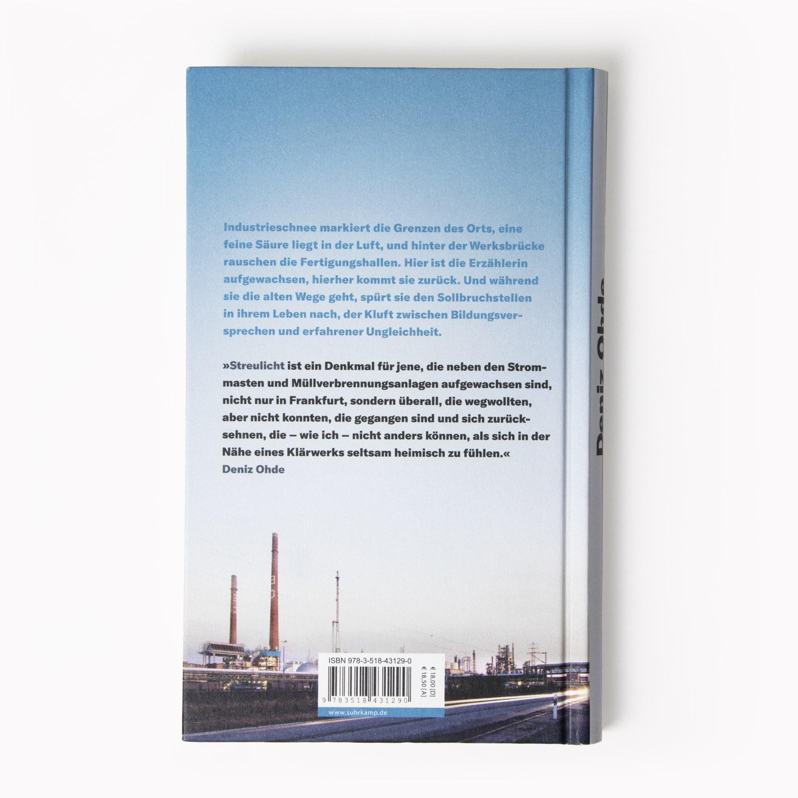 Beispielinhalt (Bild) Streulicht