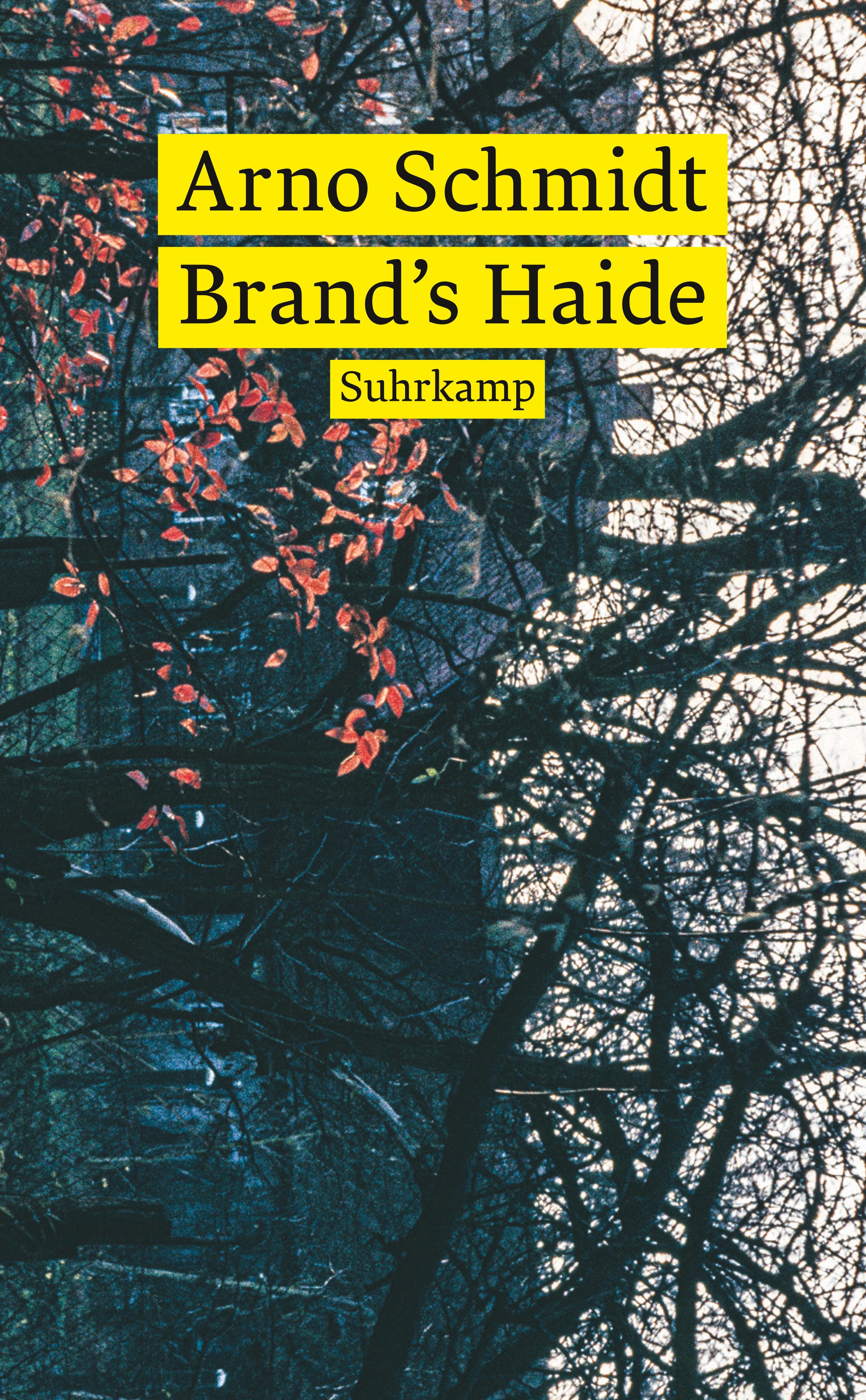 Vorderes Coverbild Brand's Haide