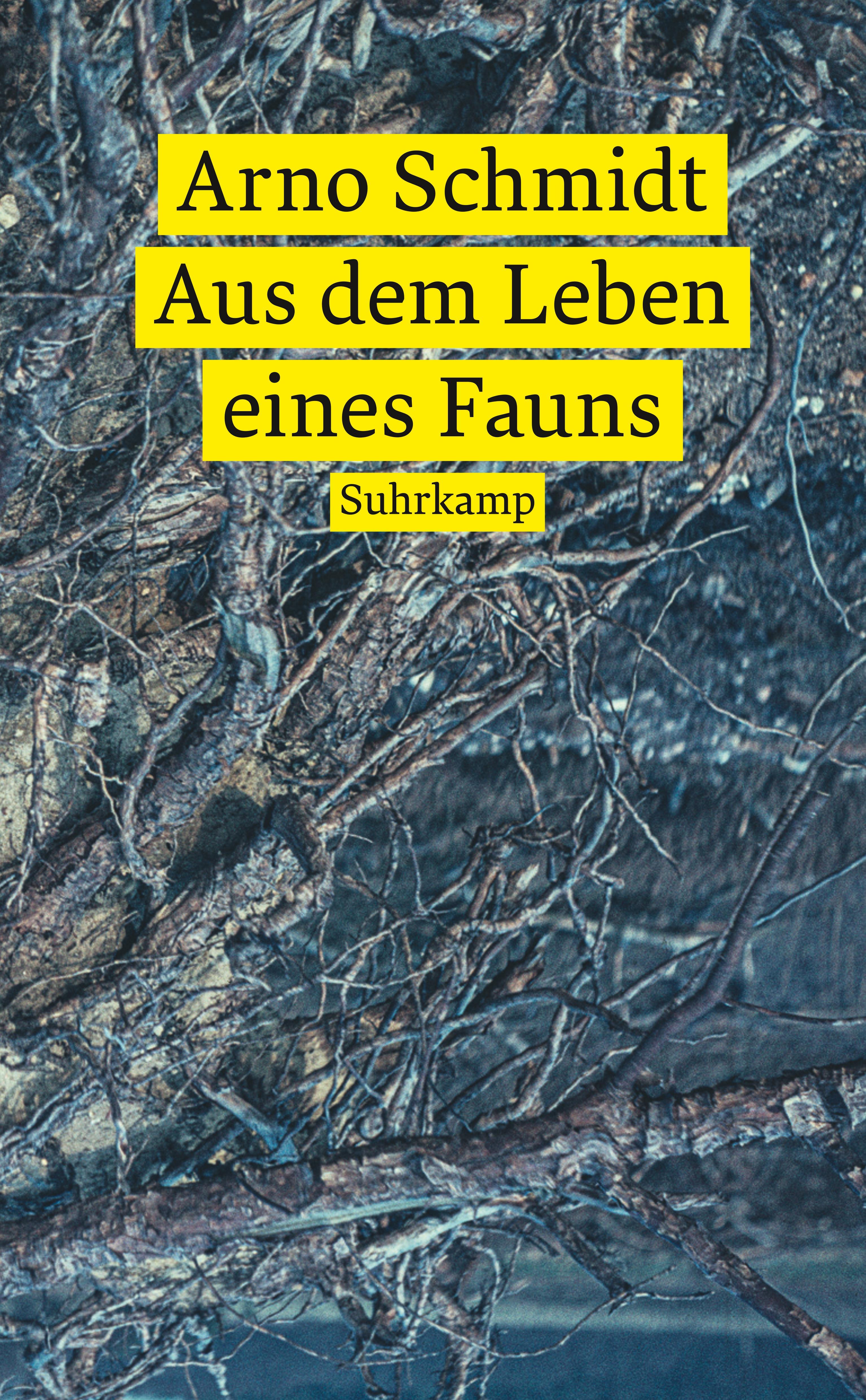 Vorderes Coverbild Aus dem Leben eines Fauns