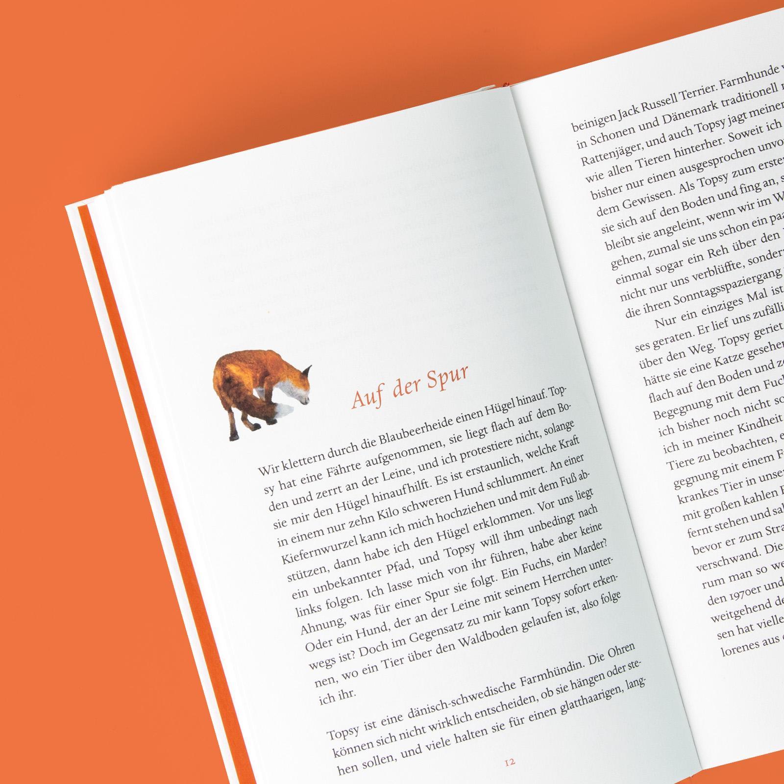 Beispielinhalt (Bild) Das verborgene Leben der Füchse