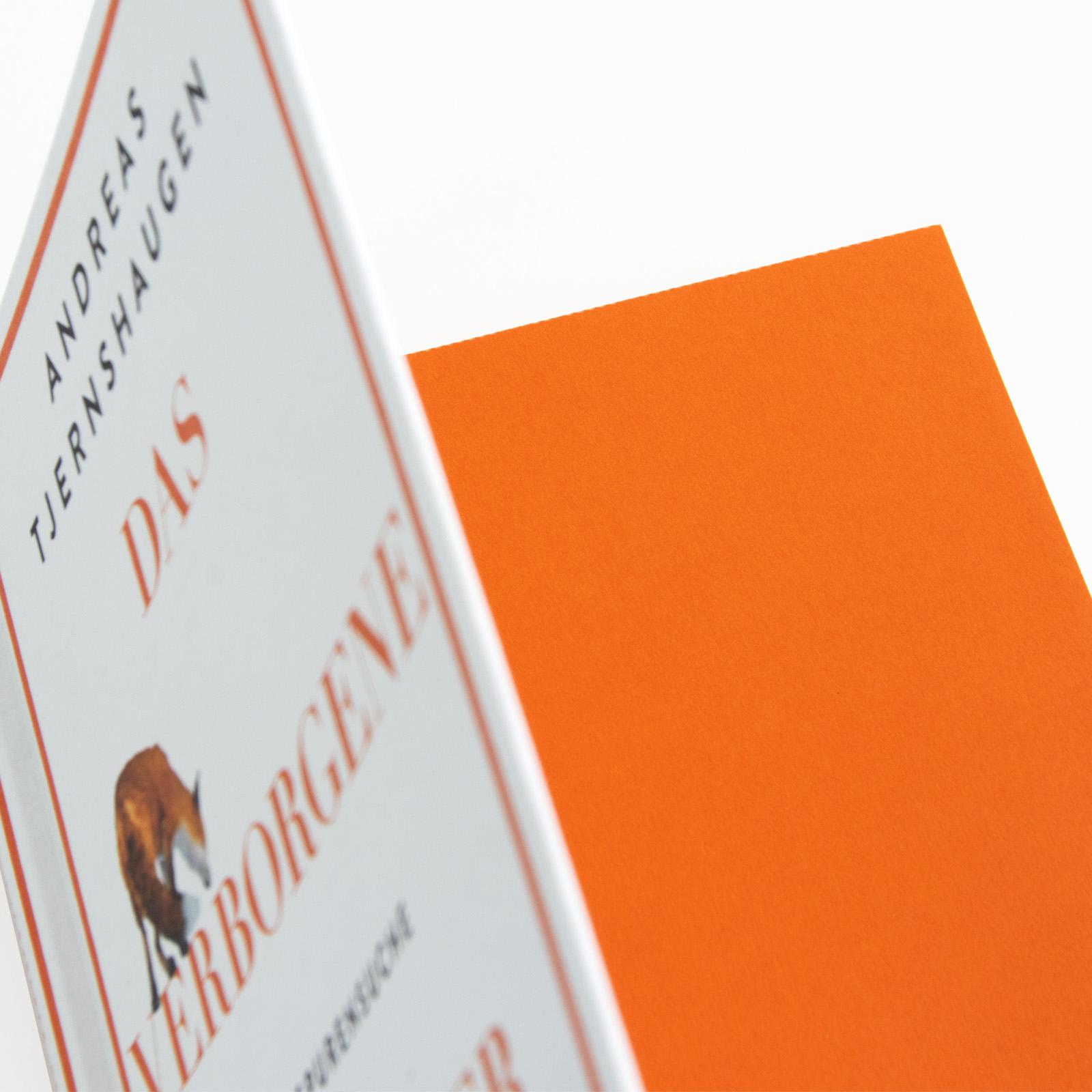 Beispielinhalt (Bild) Das verborgene Leben der Füchse