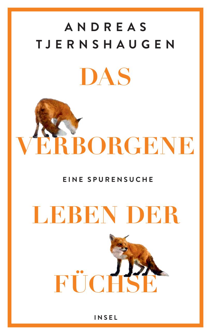 Vorderes Coverbild Das verborgene Leben der Füchse