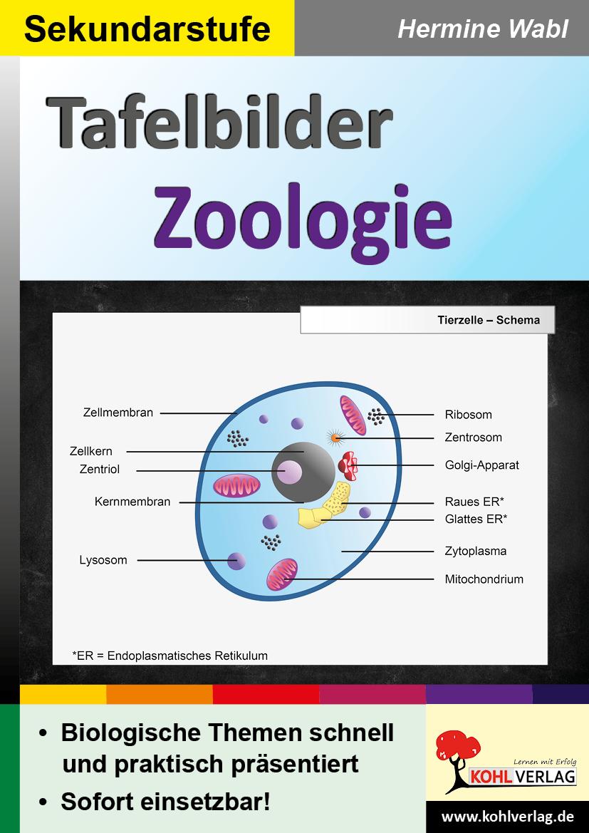 Vorderes Coverbild Tafelbilder Zoologie