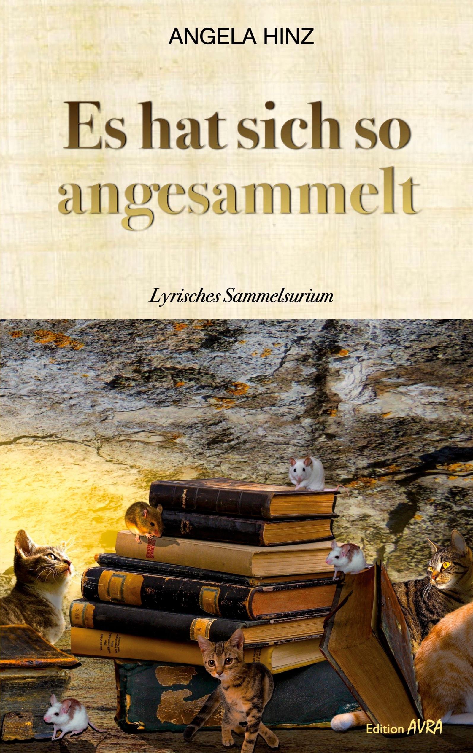 Vorderes Coverbild Es hat sich so angesammelt