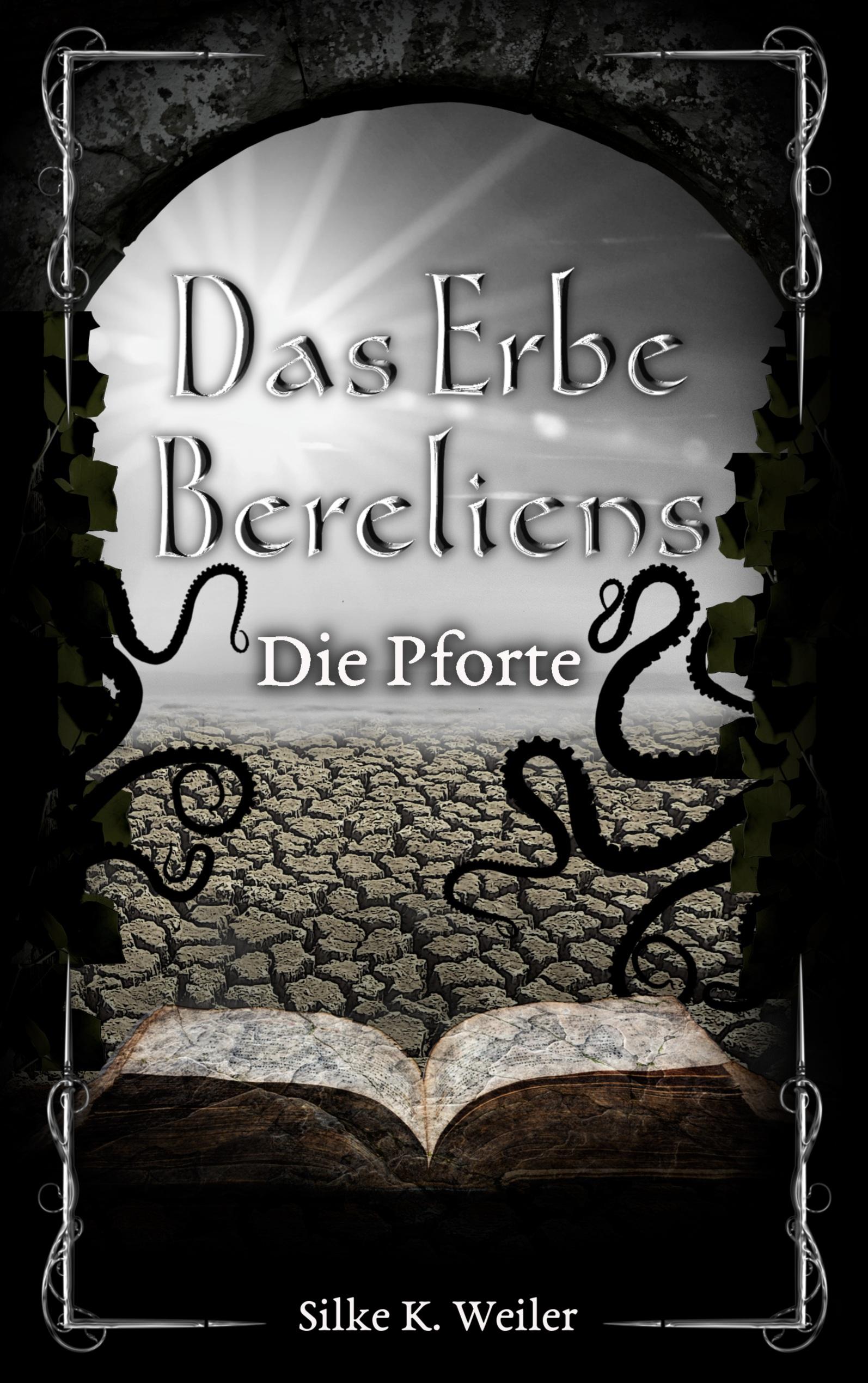Vorderes Coverbild Das Erbe Bereliens