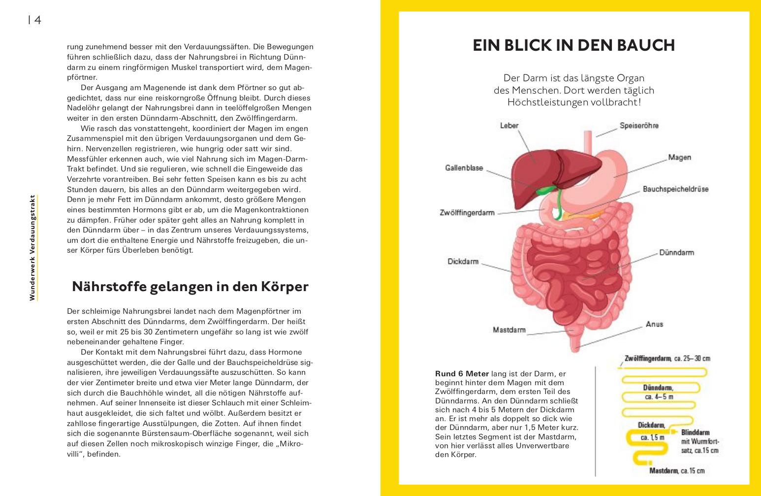 Beispielinhalt (Bild) Bye bye, Reizdarm!