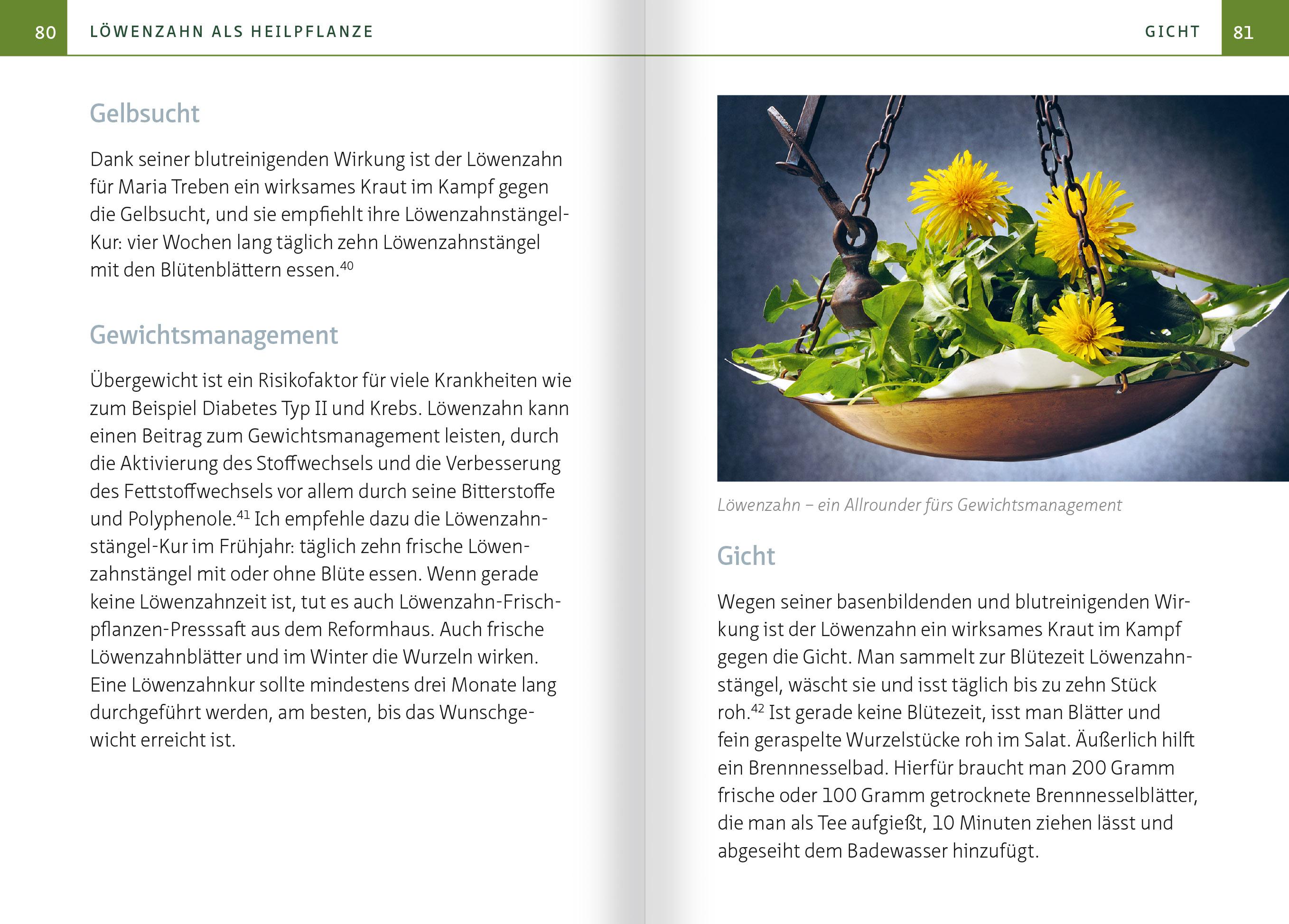 Beispielinhalt (Bild) Löwenzahn - Wunderkraut für Resilienz und Lebenskraft. Kompakt-Ratgeber