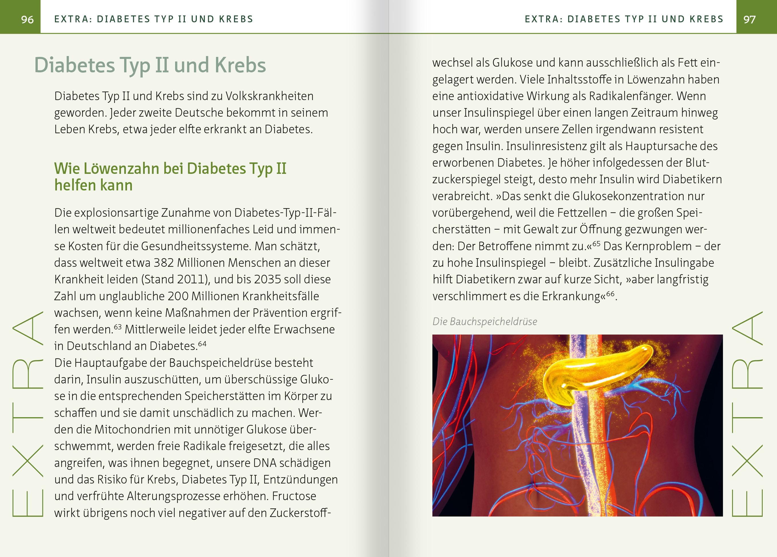 Beispielinhalt (Bild) Löwenzahn - Wunderkraut für Resilienz und Lebenskraft. Kompakt-Ratgeber