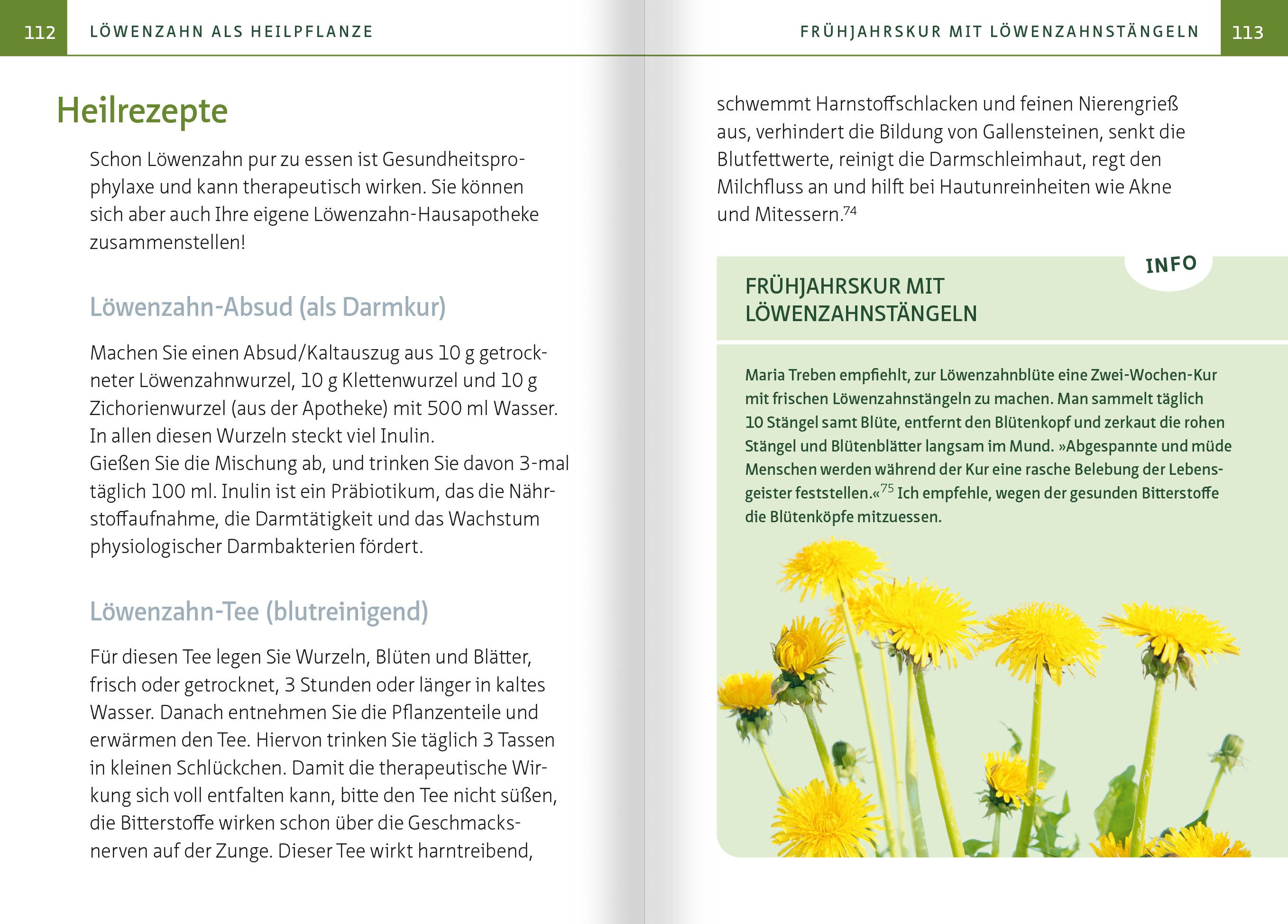 Beispielinhalt (Bild) Löwenzahn - Wunderkraut für Resilienz und Lebenskraft. Kompakt-Ratgeber