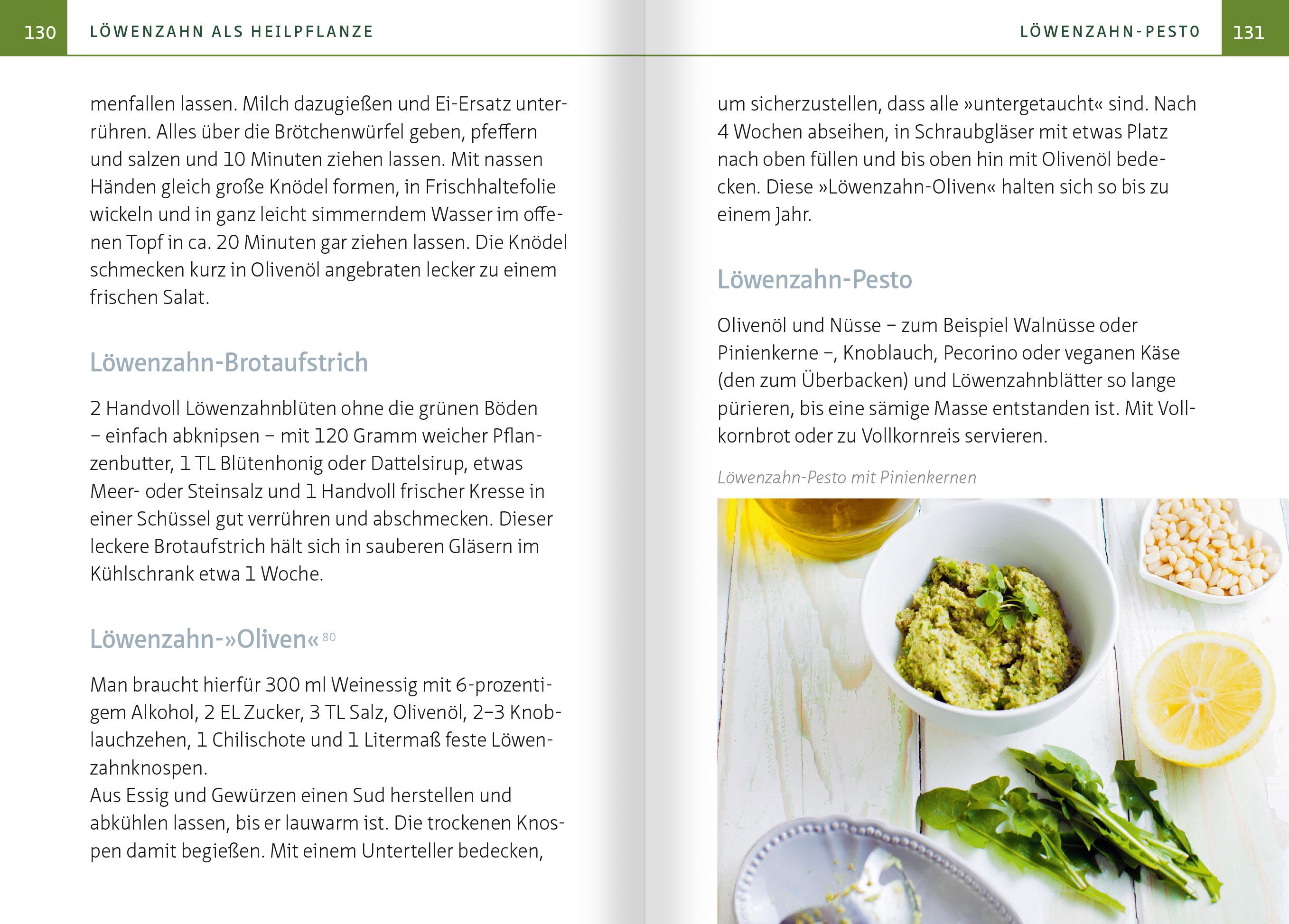 Beispielinhalt (Bild) Löwenzahn - Wunderkraut für Resilienz und Lebenskraft. Kompakt-Ratgeber