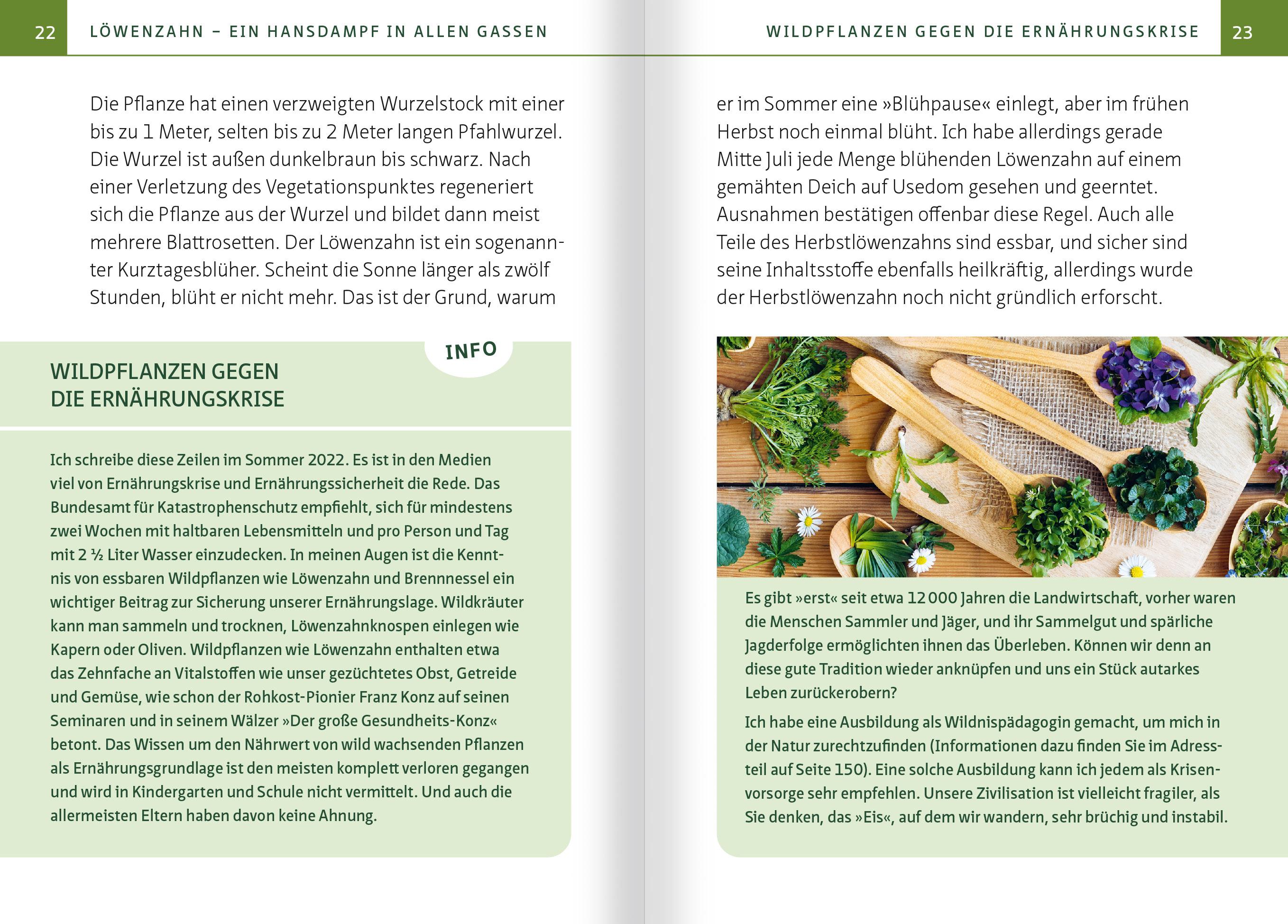 Beispielinhalt (Bild) Löwenzahn - Wunderkraut für Resilienz und Lebenskraft. Kompakt-Ratgeber