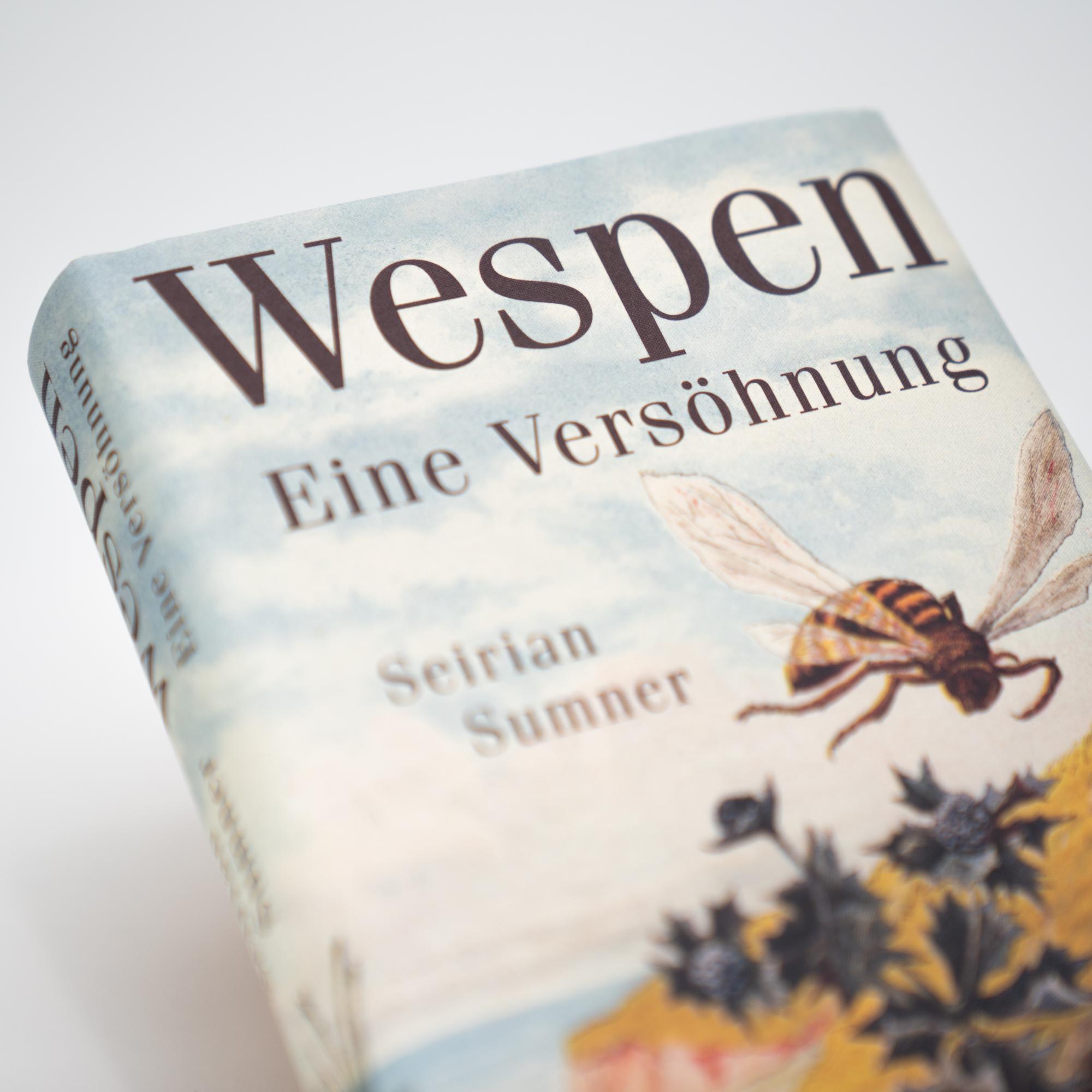 Beispielinhalt (Bild) Wespen. Eine Versöhnung