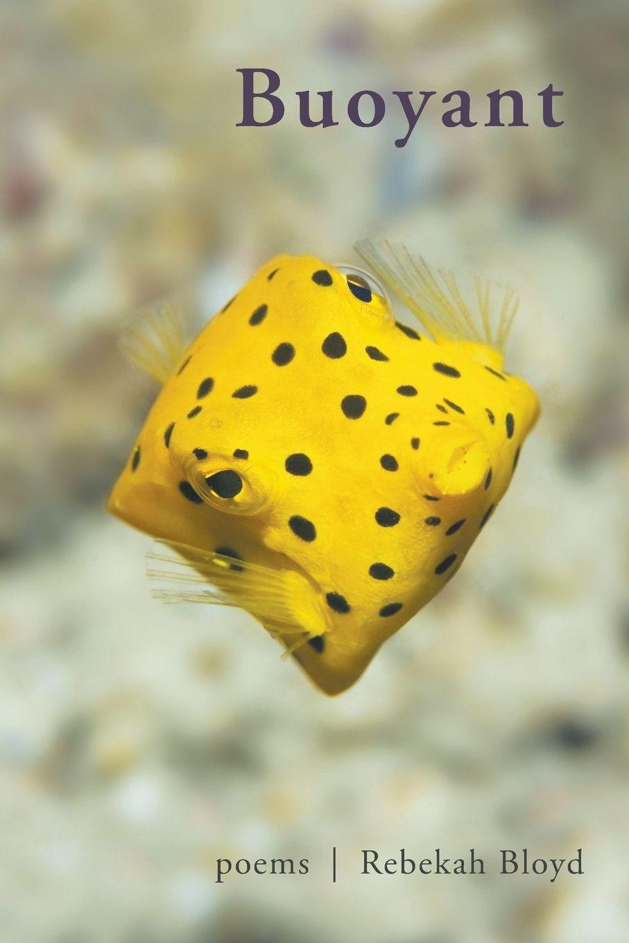 Vorderes Coverbild Buoyant