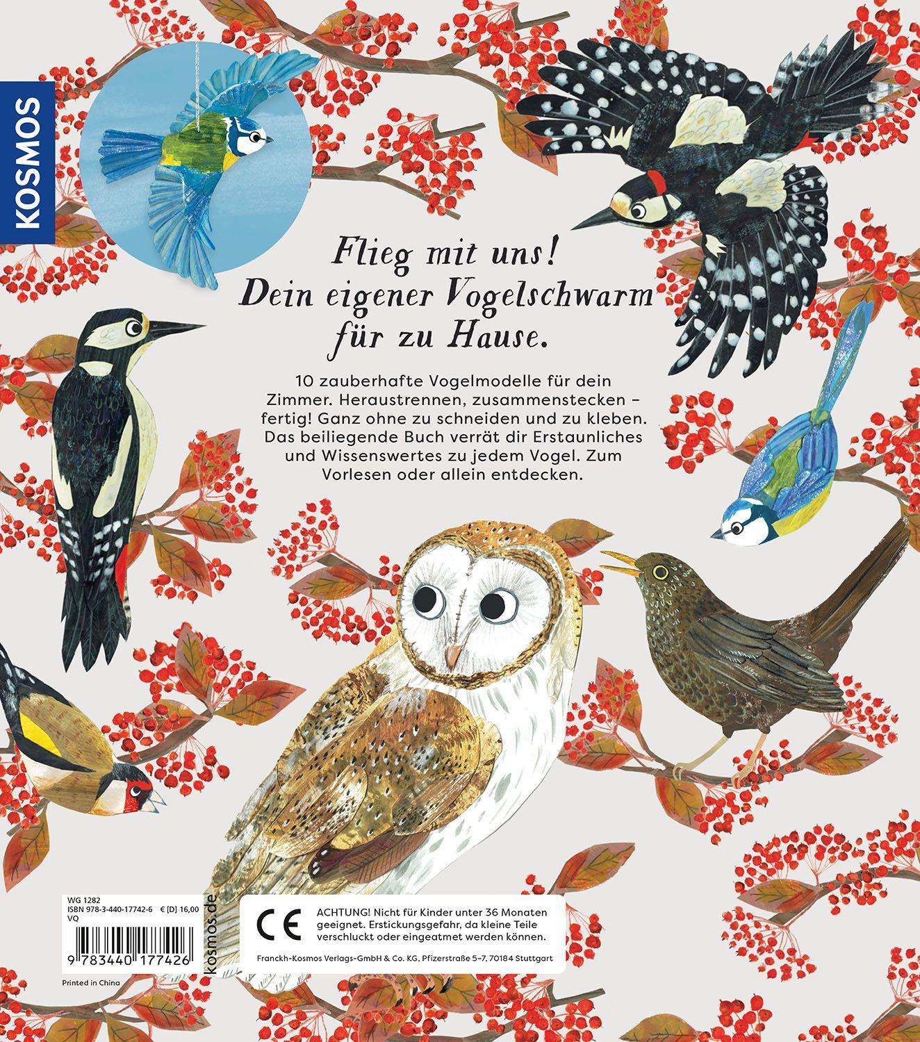 Beispielinhalt (Bild) Flieg mit uns!