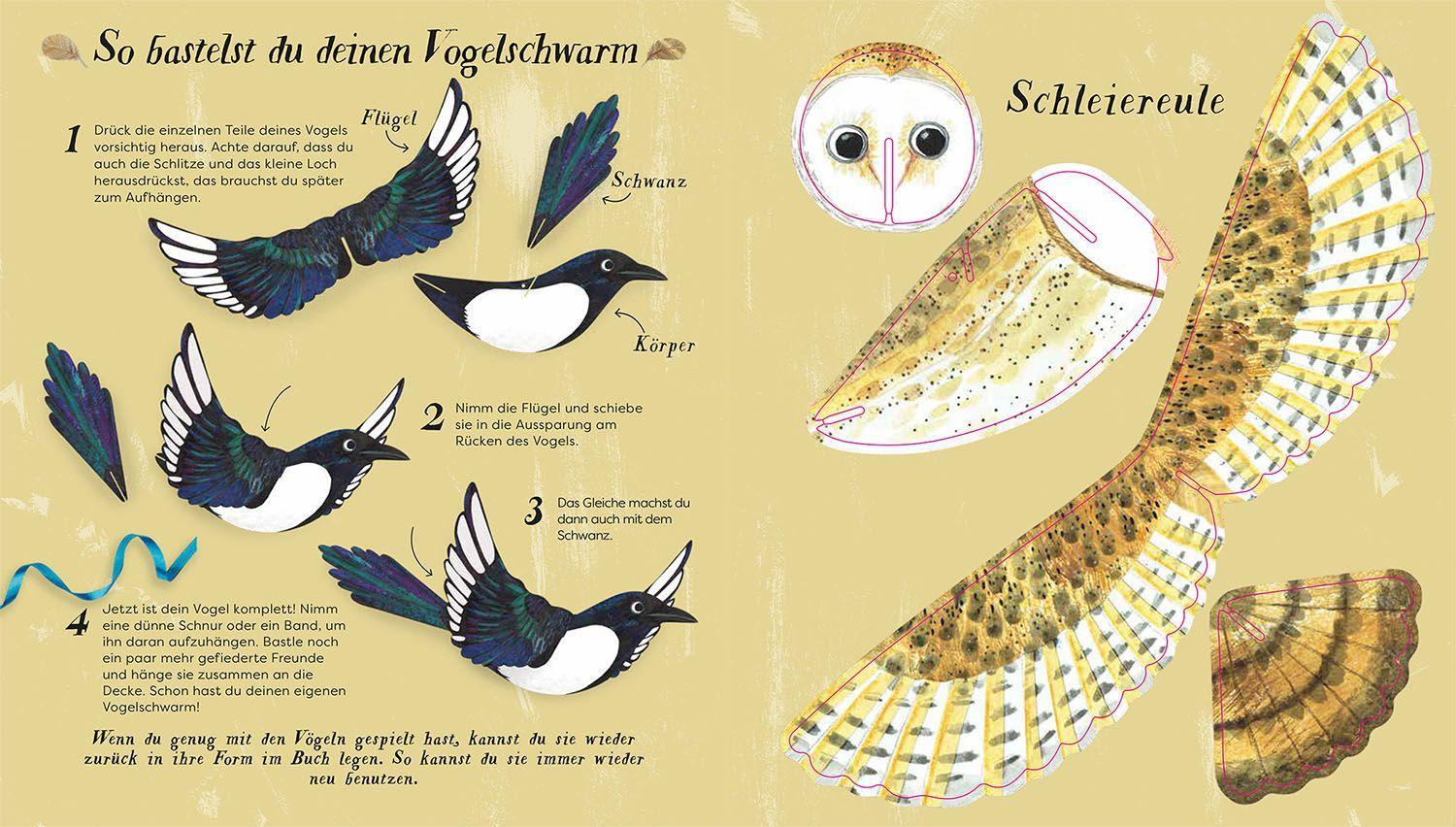 Beispielinhalt (Bild) Flieg mit uns!