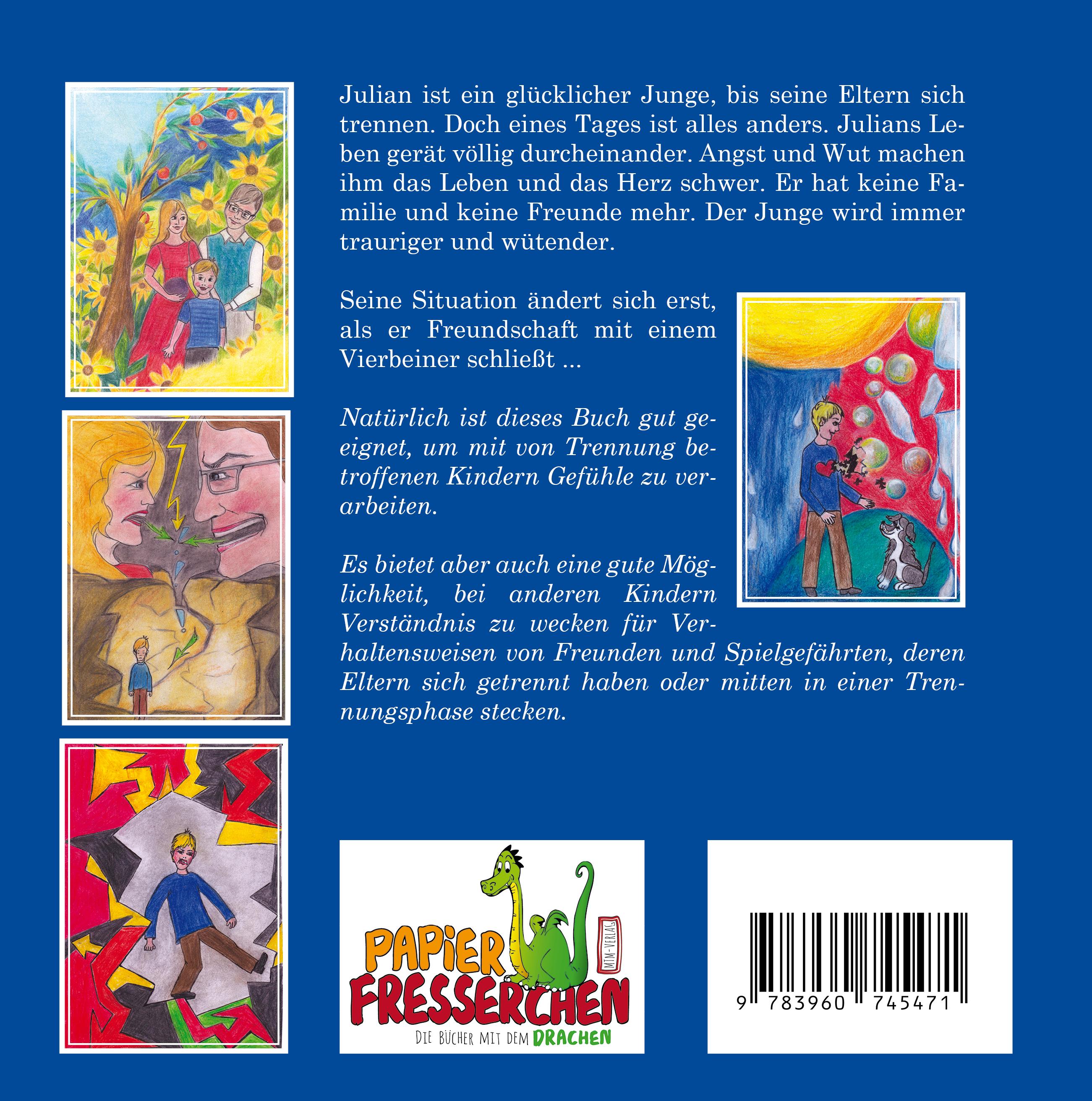 Rückseitencover Julian und die Wutsteine